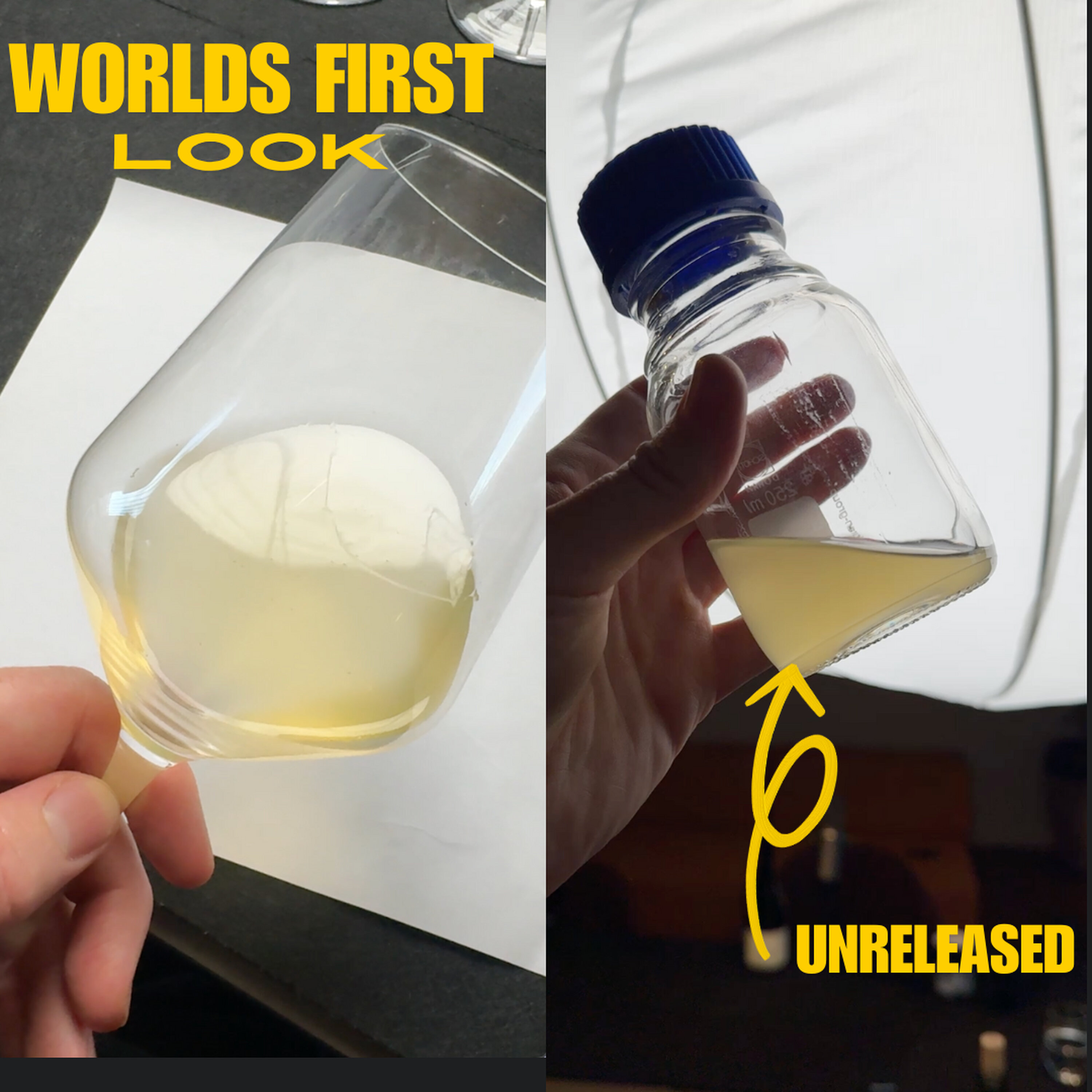 WORLD FIRST tasting of six 90+ point rated Chardonnays Episode cover