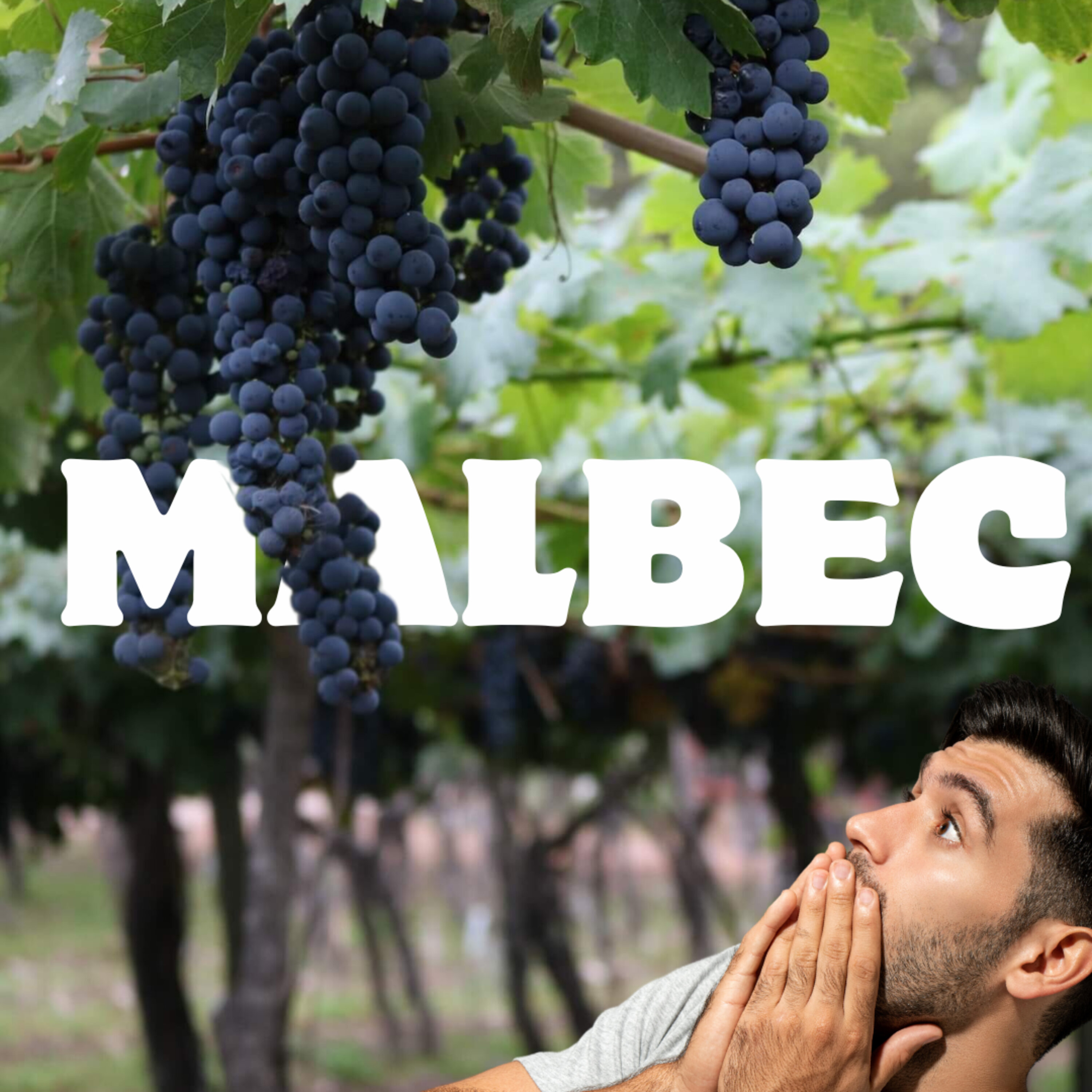 SHOCKED this wine is planted in THIS location! 🏝 🍷 Episode cover