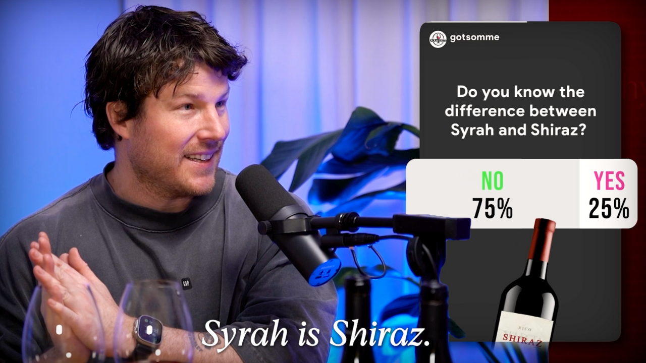 78% of people didn't know Syrah is Shiraz | Rhone Valley Masterclass