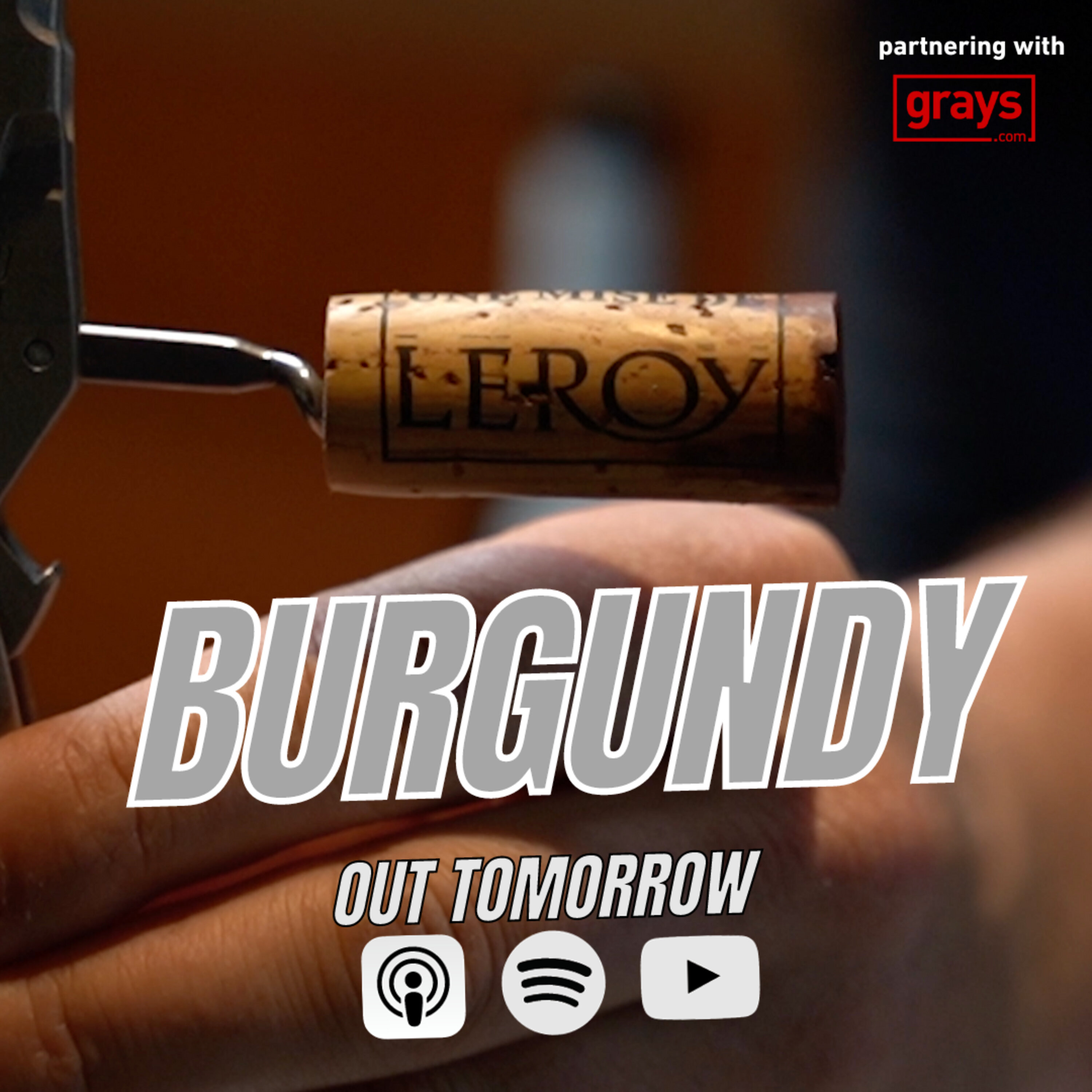 WE PAID $.... FOR THIS $1000 BURGUNDY PINOT π°π³ Episode cover