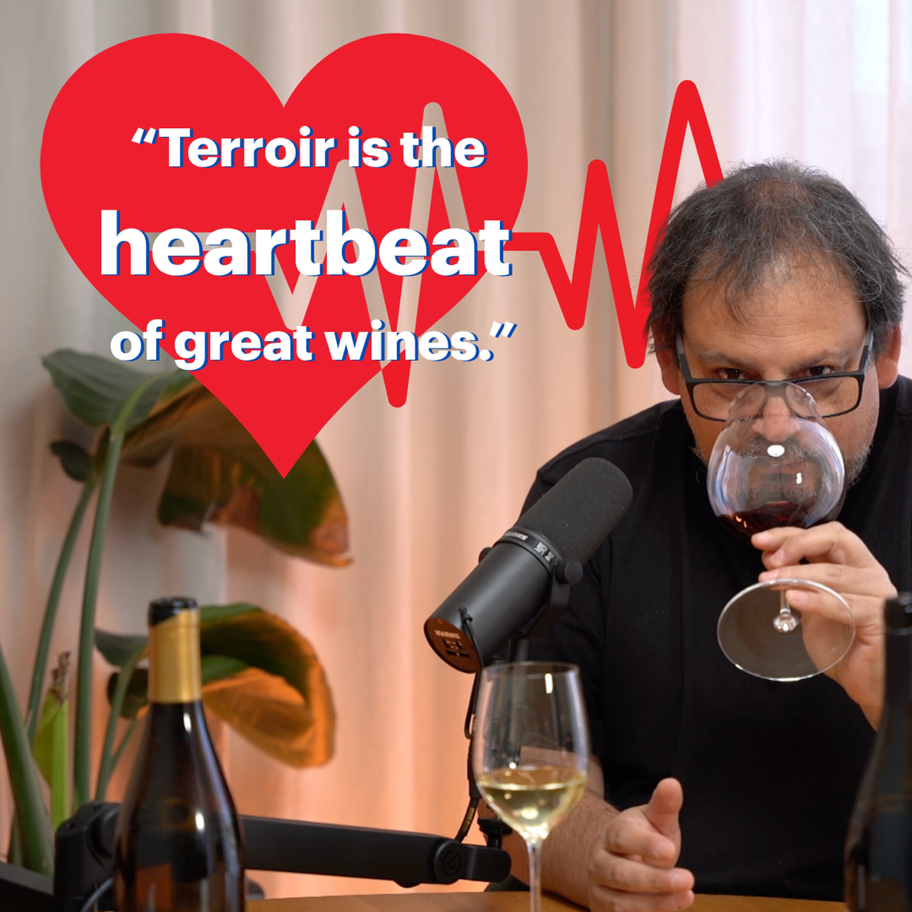 Unlocking the secrets of terroir with Pedro Parra, aka Dr Terroir episode artwork