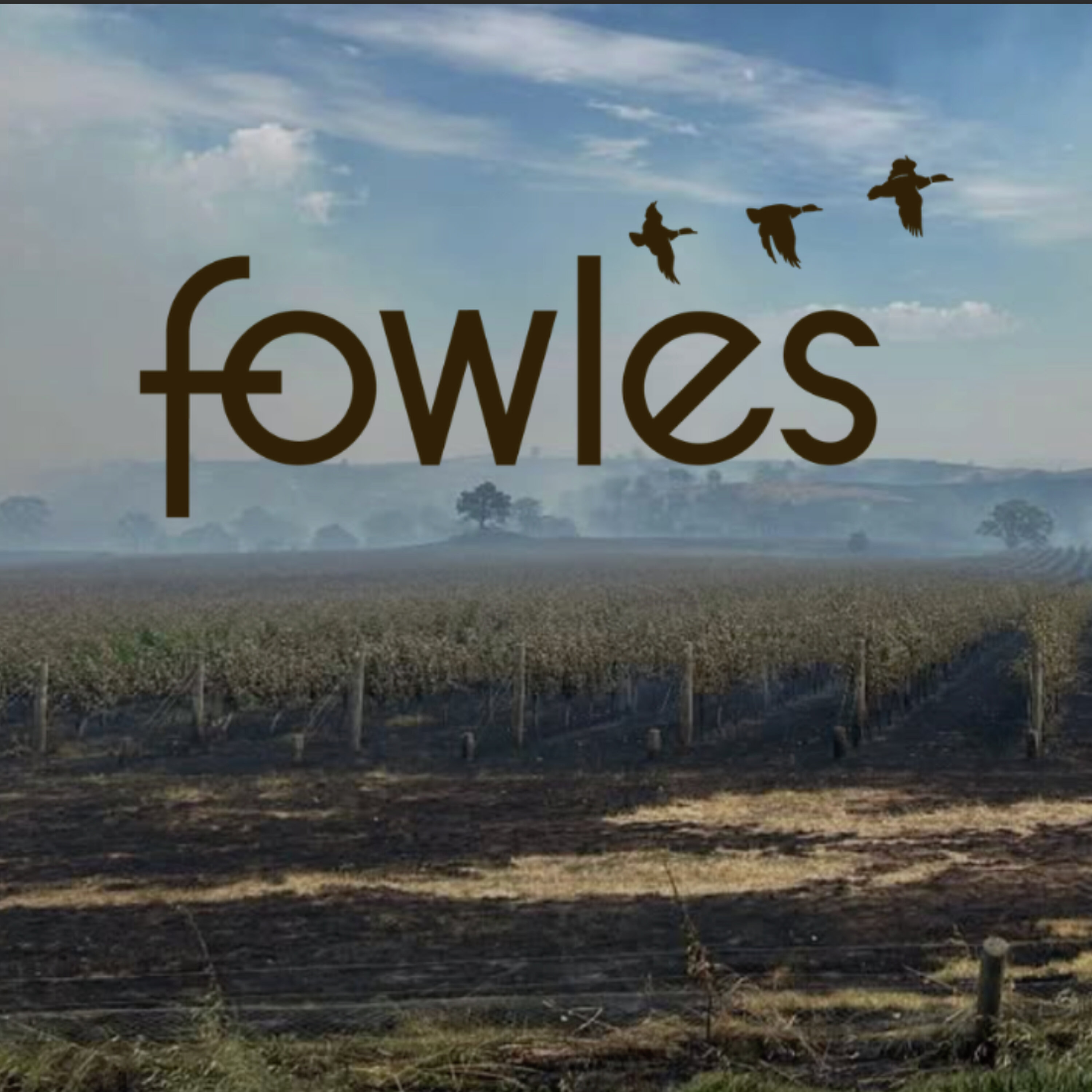 Bushfire recovery & rebuilding with Matt Fowles of Fowles Wine episode artwork