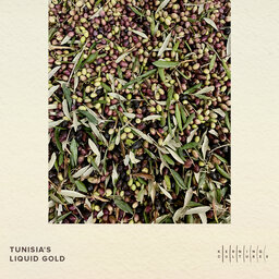 Tunisia’s Liquid Gold