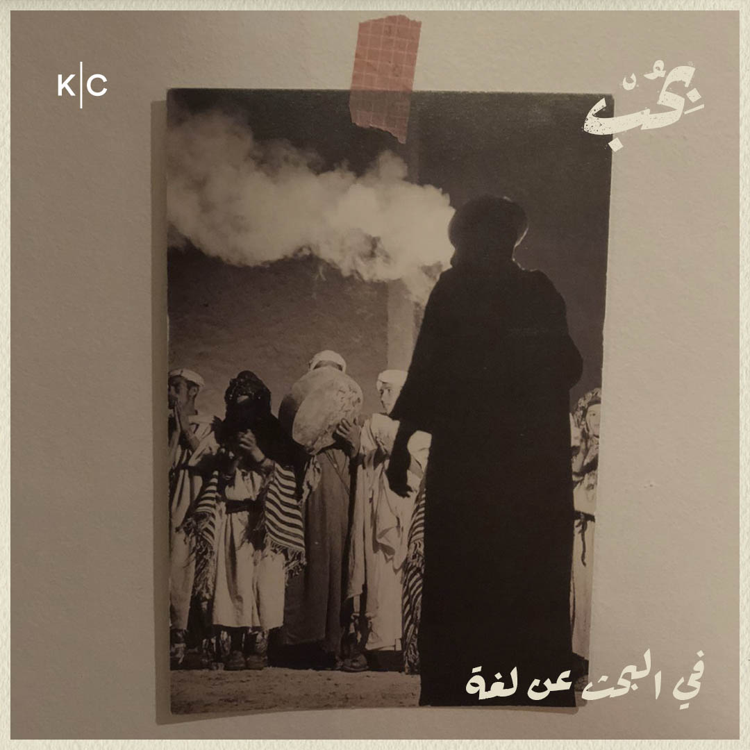 في البحث عن لغة