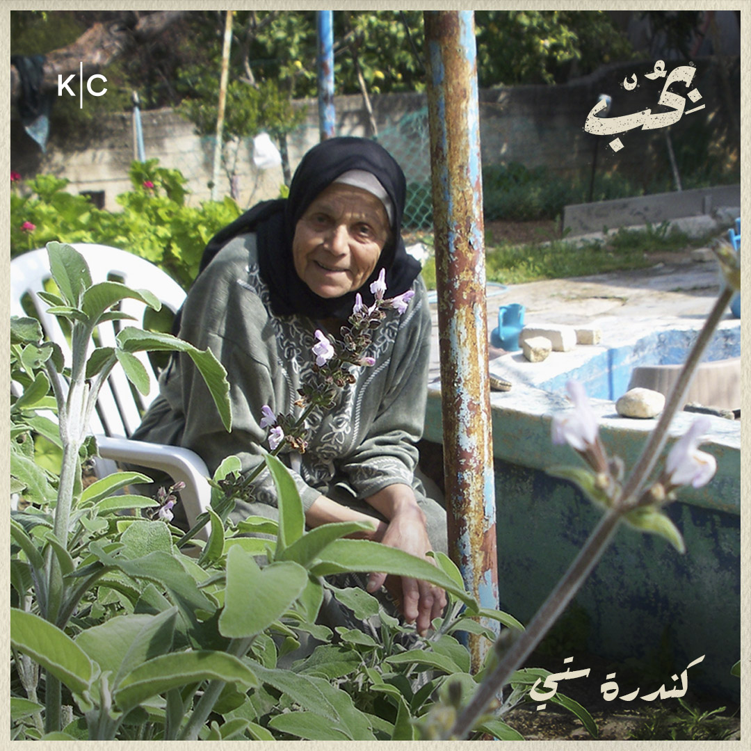 كندرة ستي