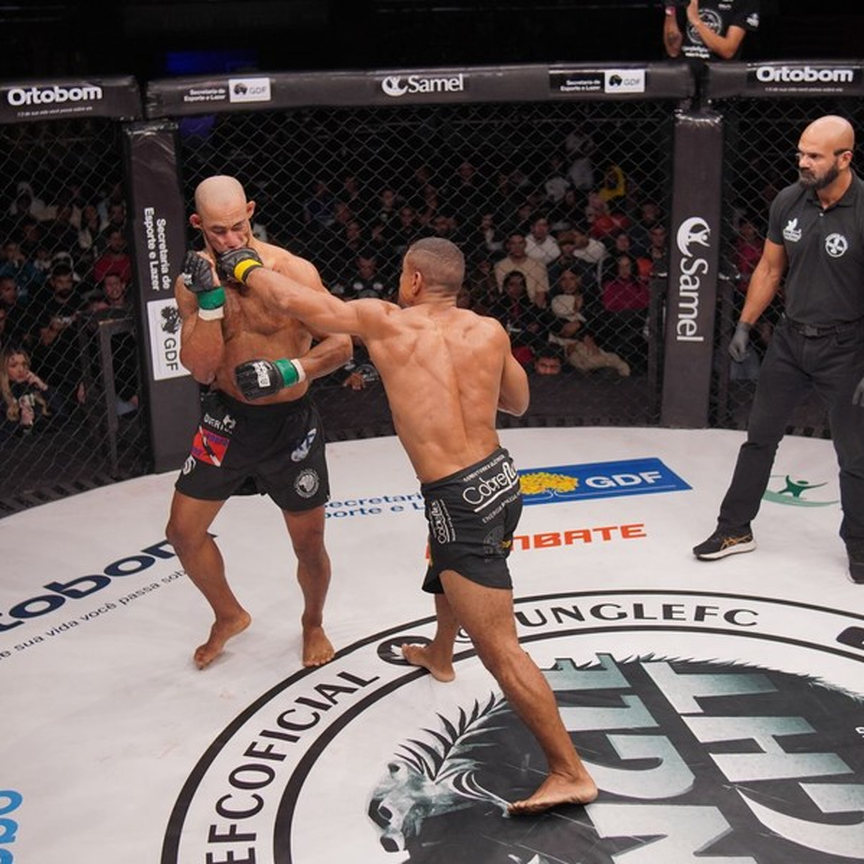 Mundo da Luta #356 - Finalista do Fight do Milhão na área