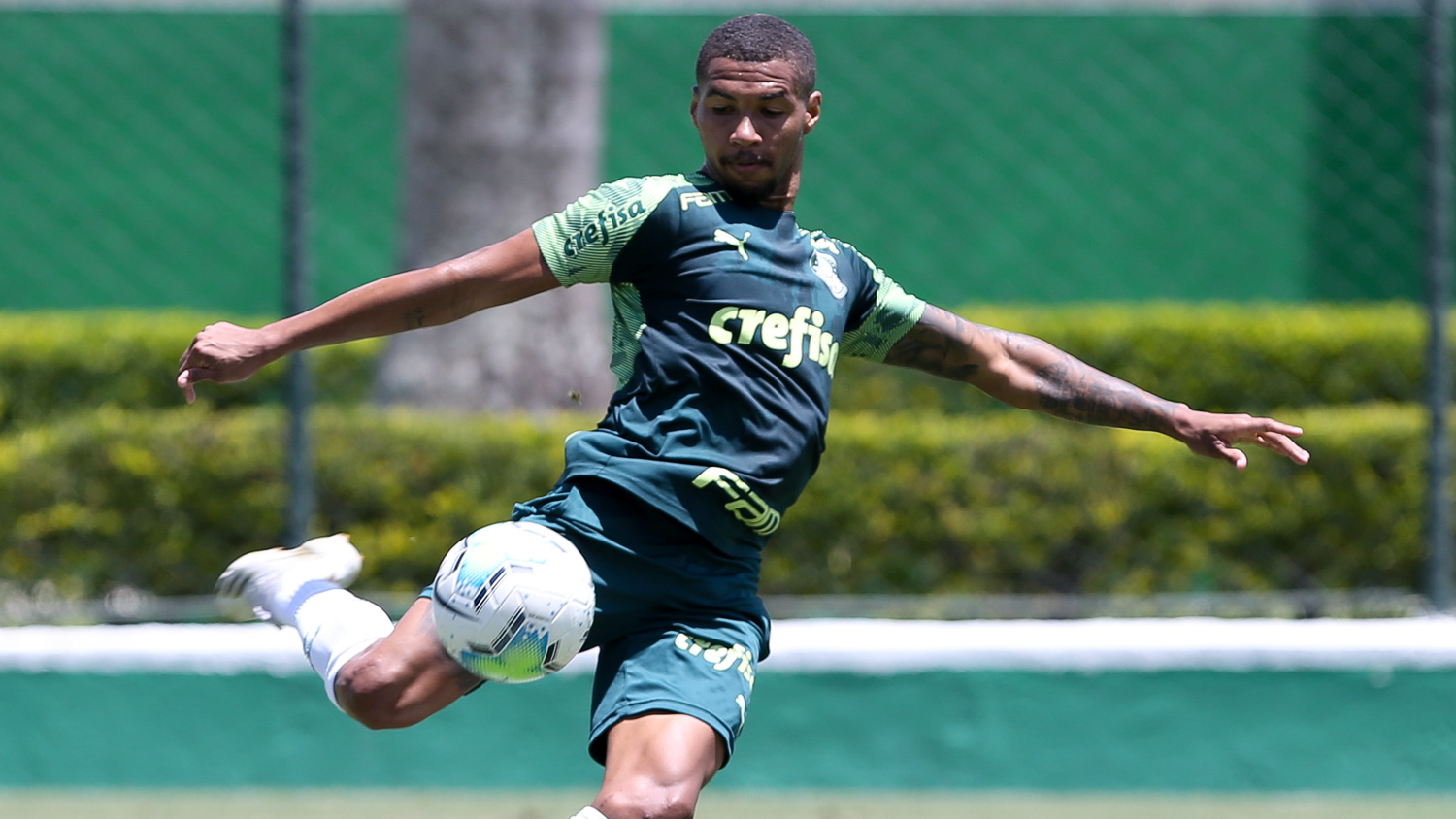 GE Palmeiras