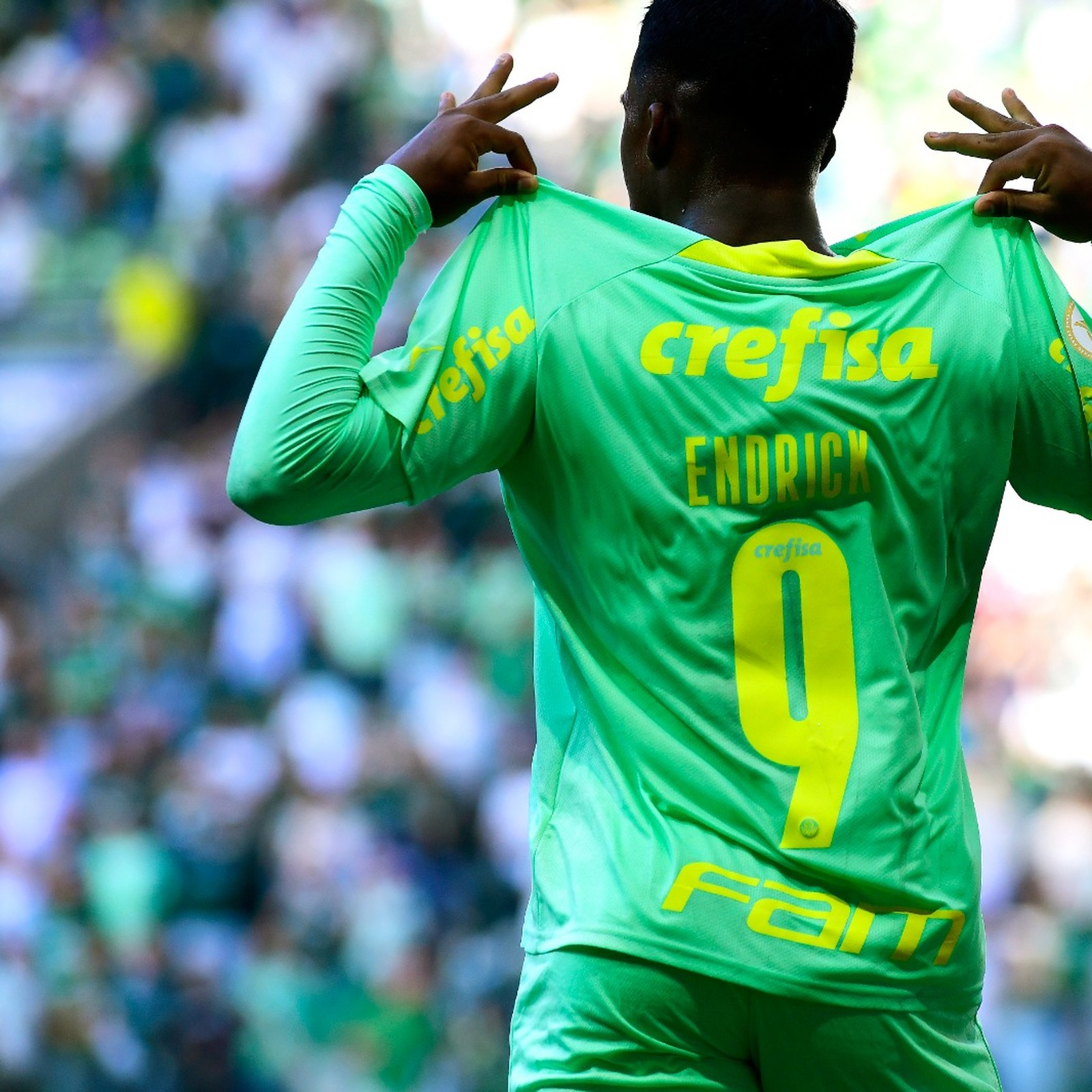 GE Palmeiras