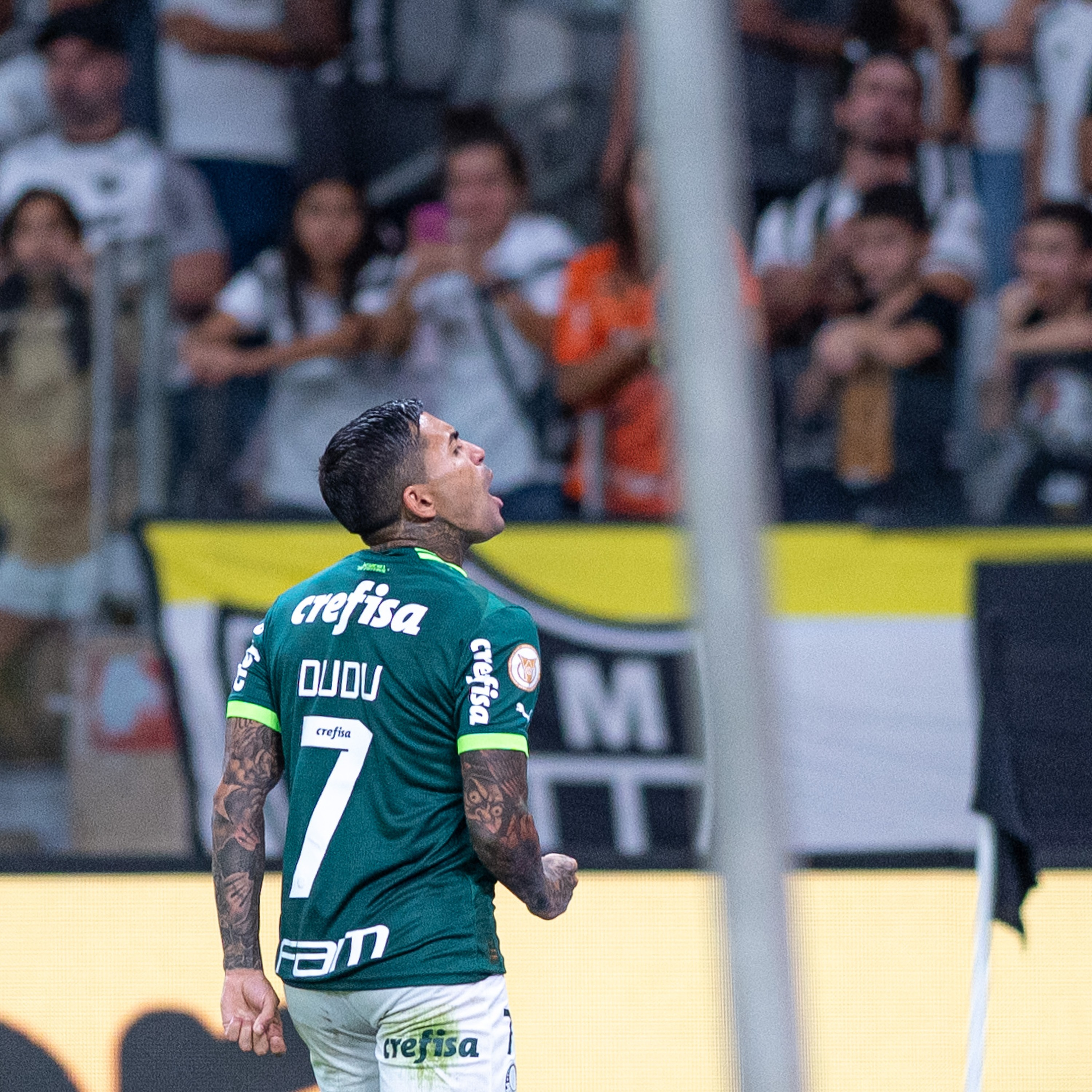 GE Palmeiras