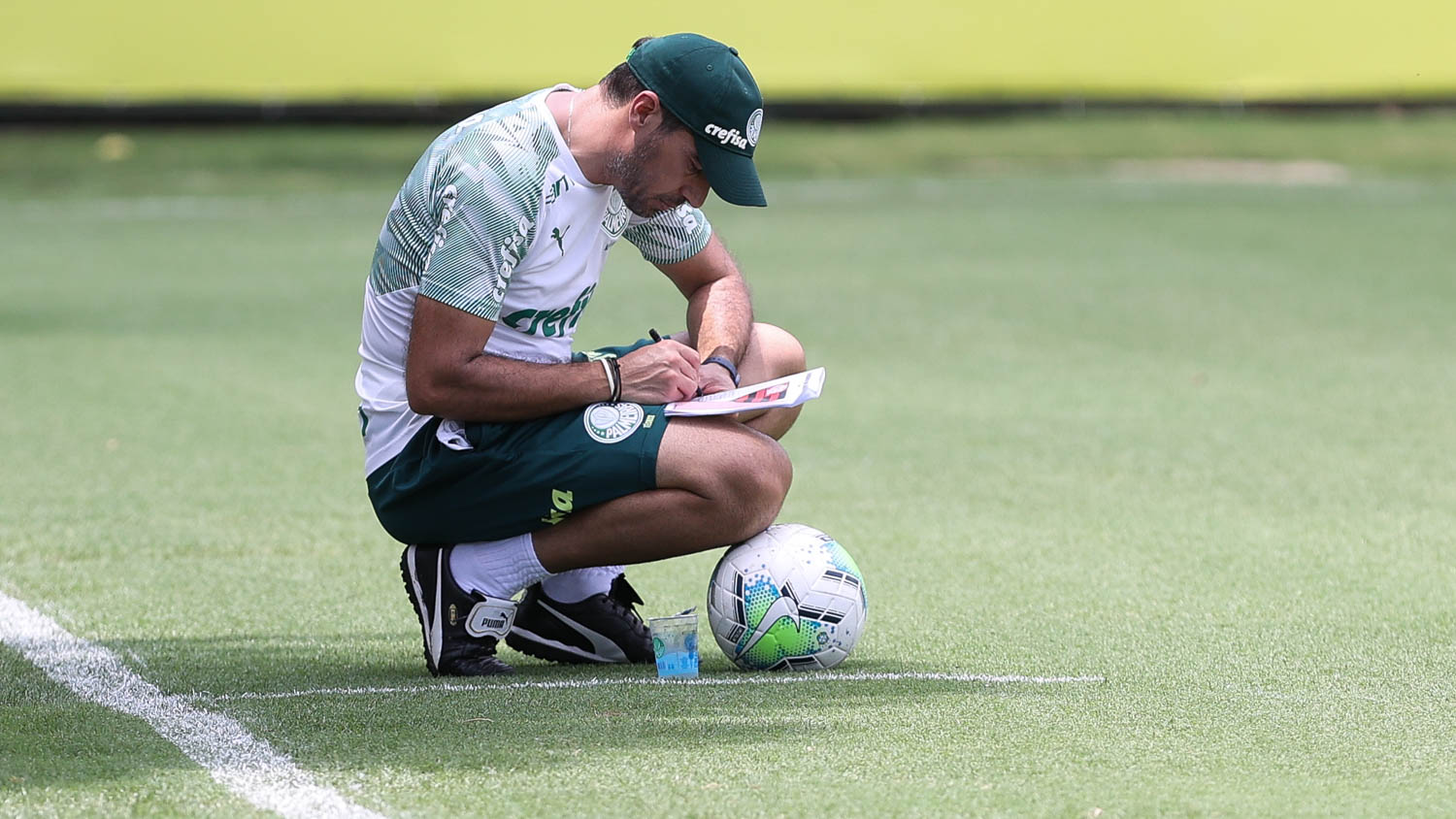 GE Palmeiras