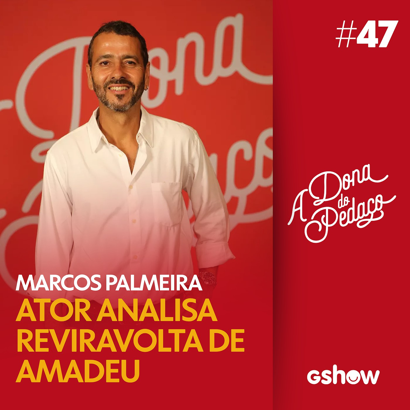Papo de Novela