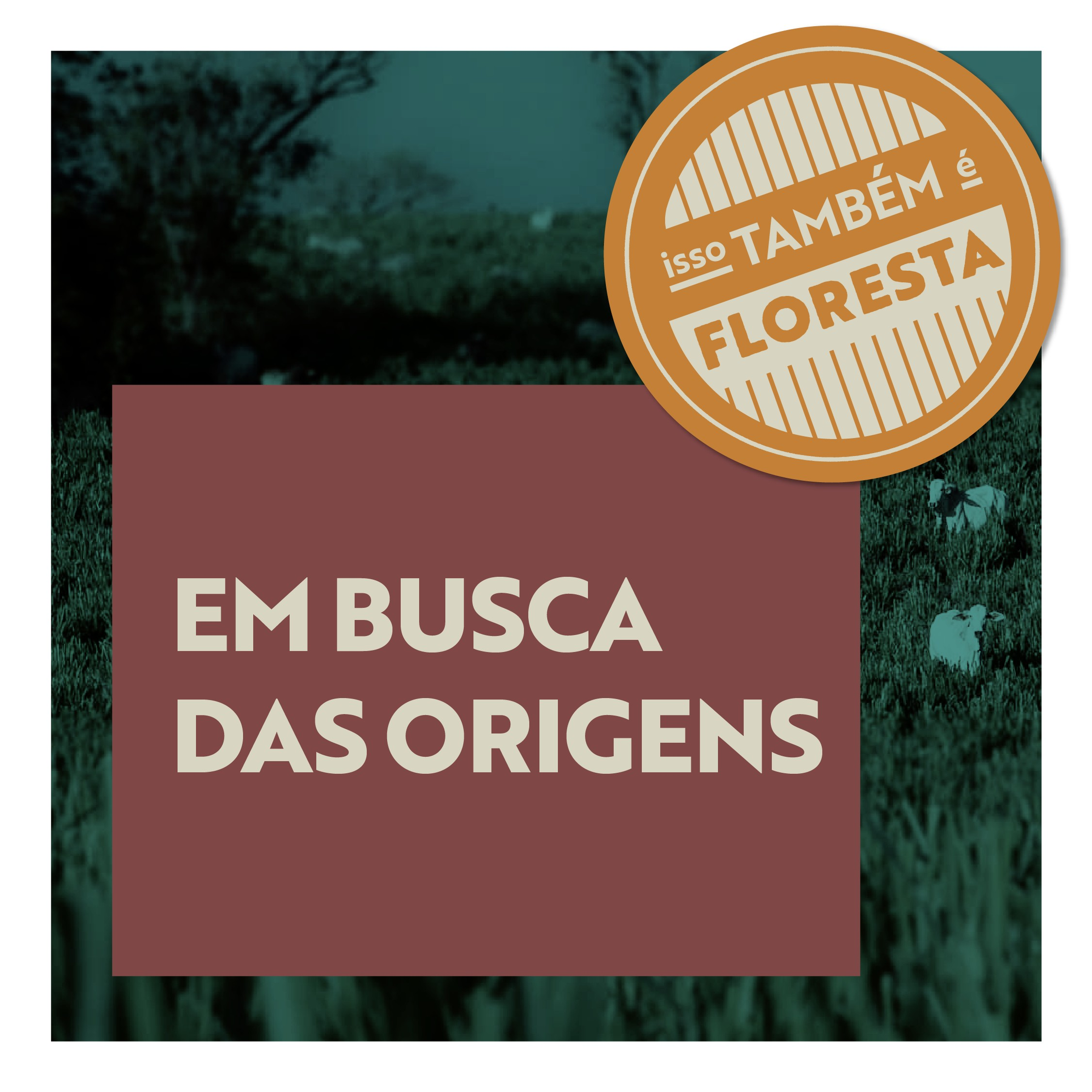 Isso Também é Floresta 1
