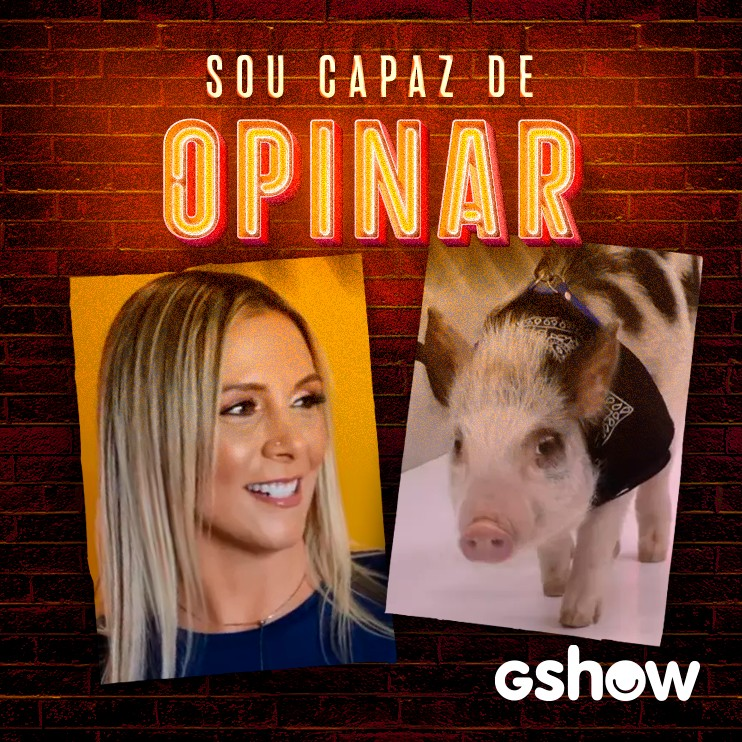 Cinderela e os três porquinhos - Sou Capaz de Opinar