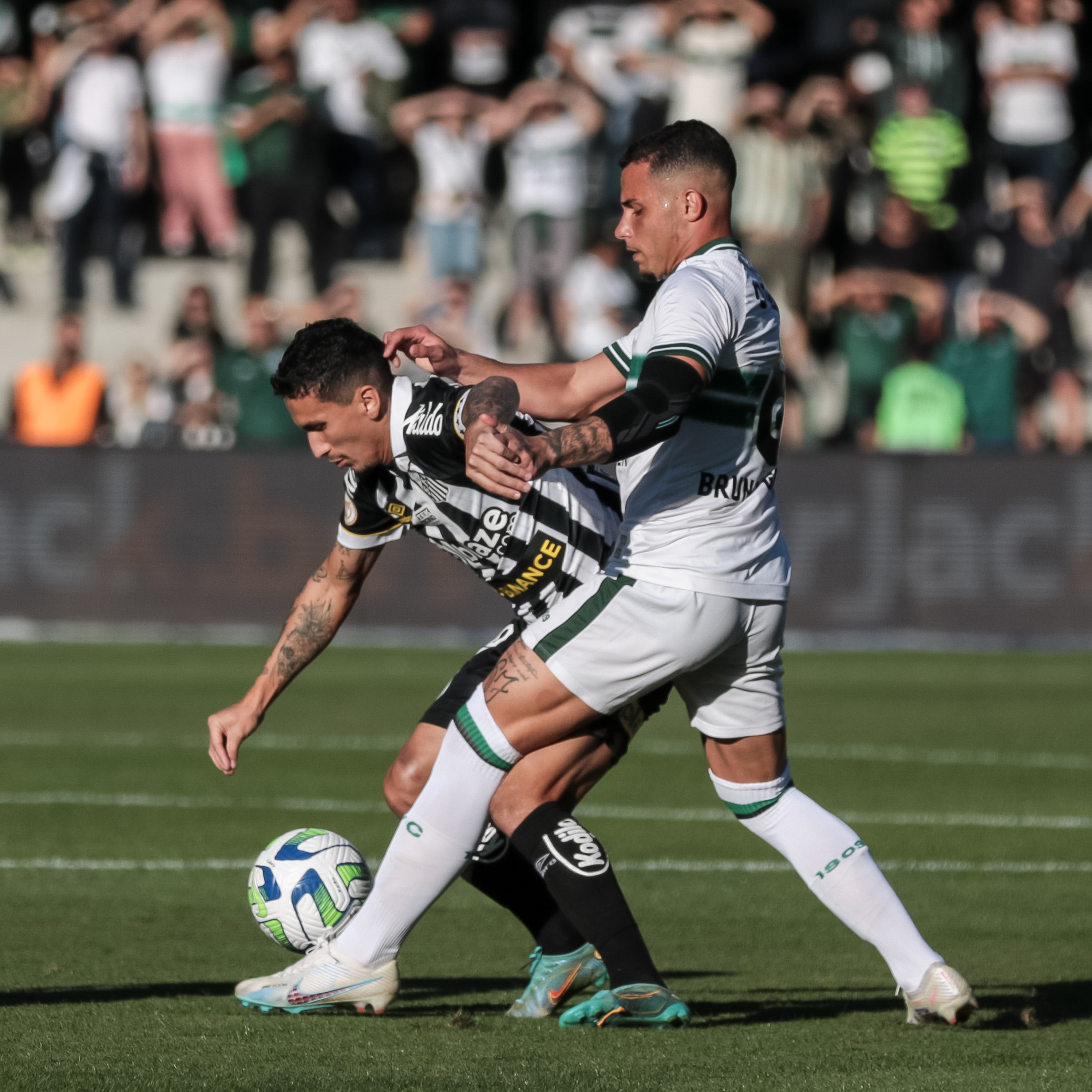 GE Santos #294 - Empate contra o Coritiba e pausa antes de enfrentar o Corinthians episode artwork