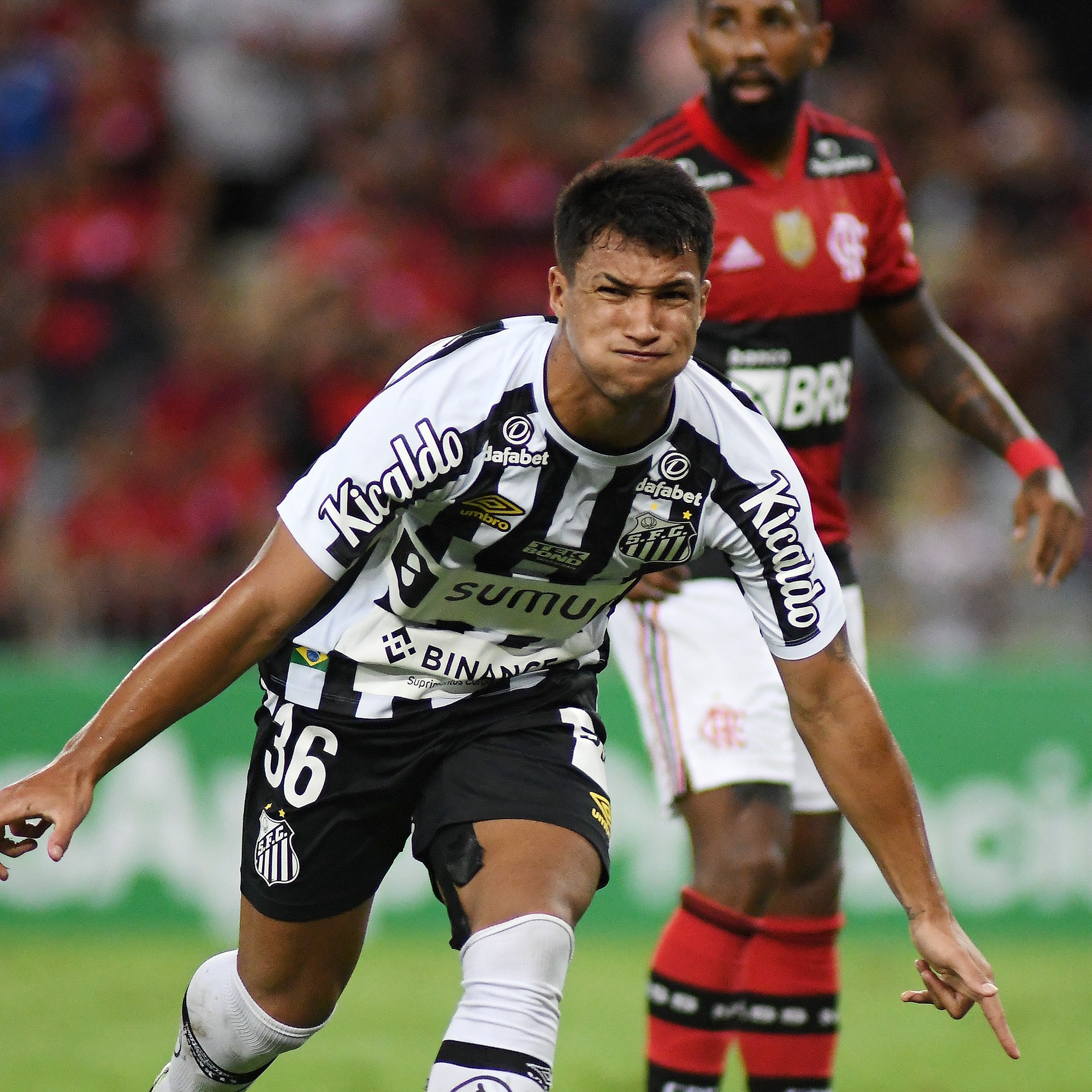 GE Santos #180 - O Peixe não cai! A postura no Maracanã, Carille e planos para 2022 episode artwork
