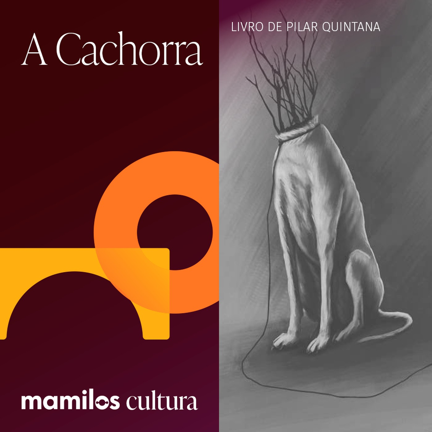 Mamilos