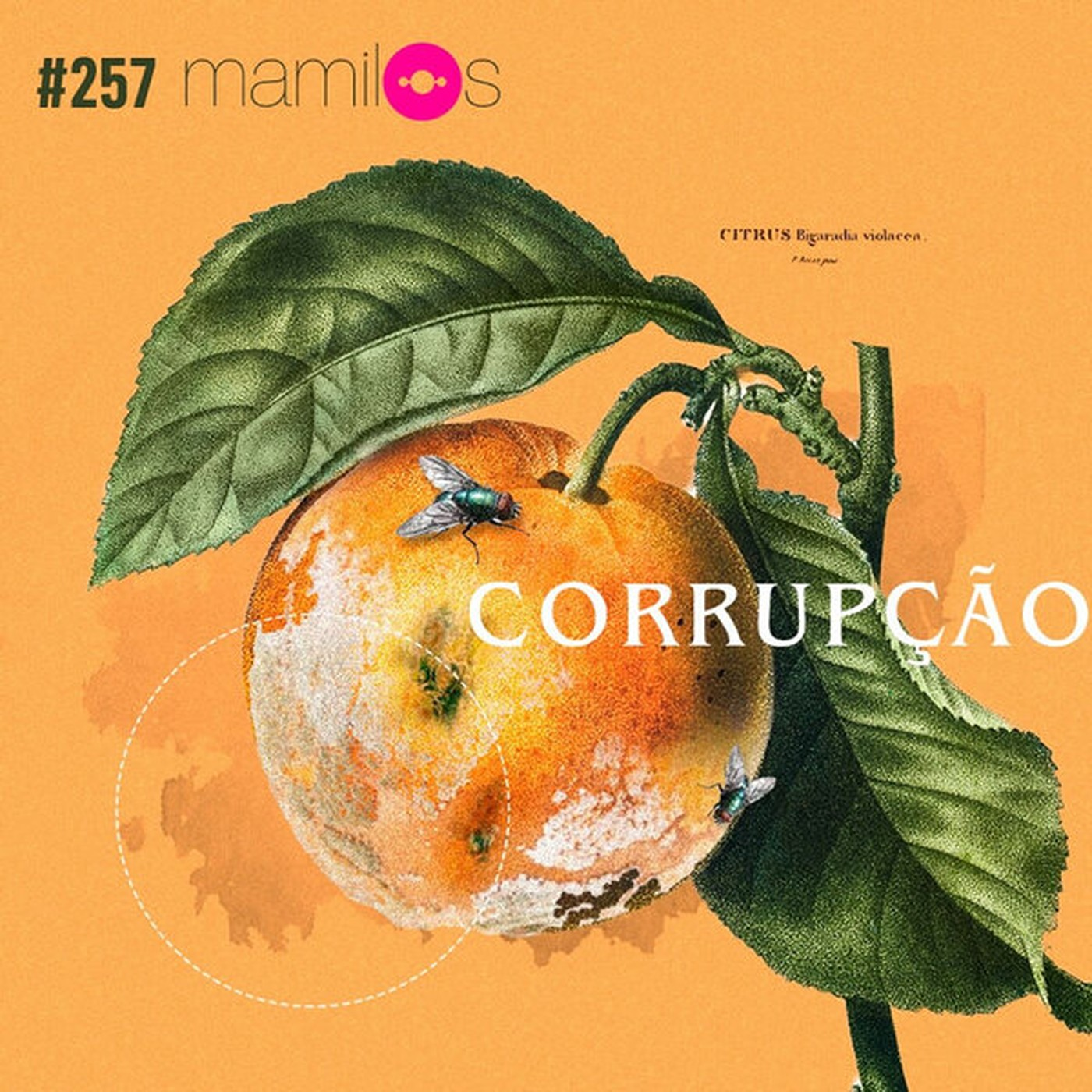 Mamilos