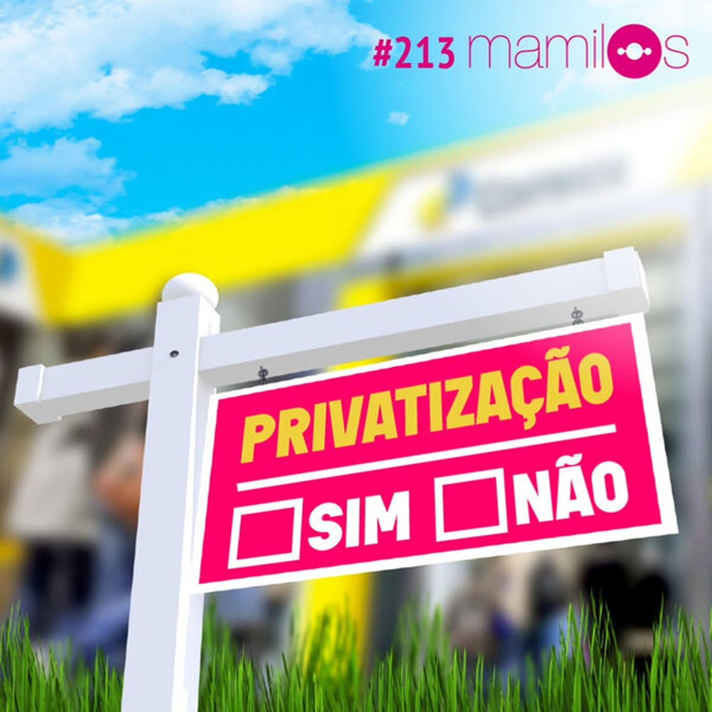 Privatização: sim ou não?