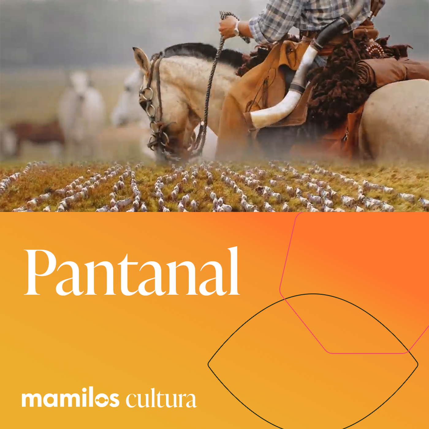Mamilos