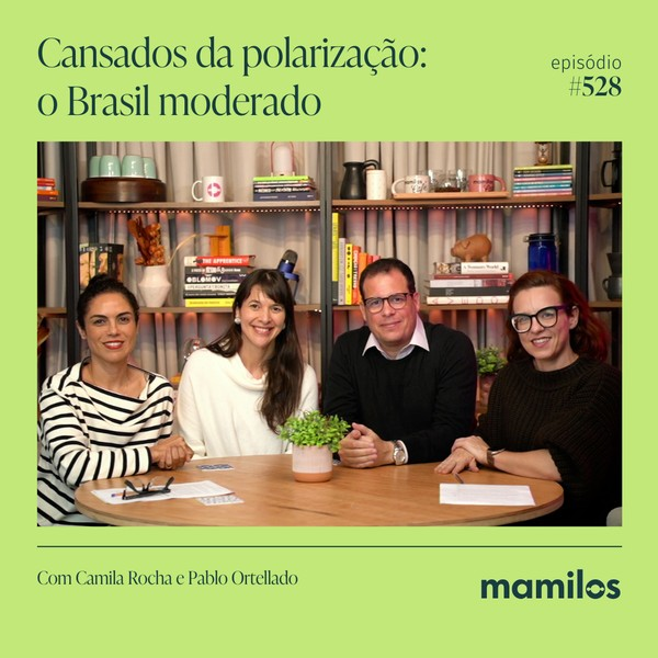 Cansados da polarização: o Brasil moderado