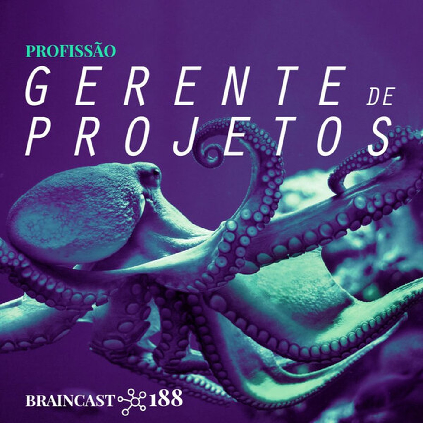 #188. Profissão: Gerente de Projetos