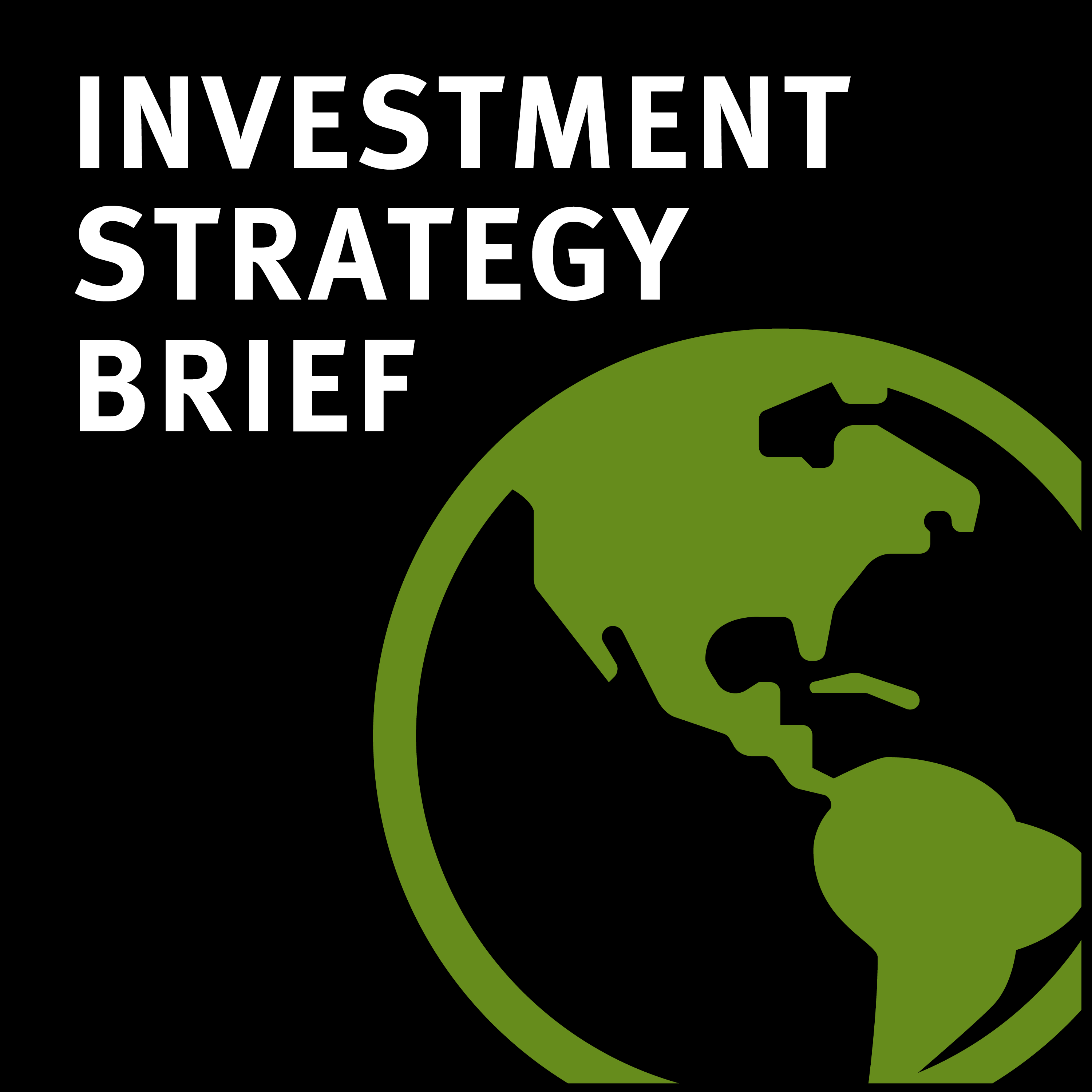 Investment Strategy Brief | July 2025