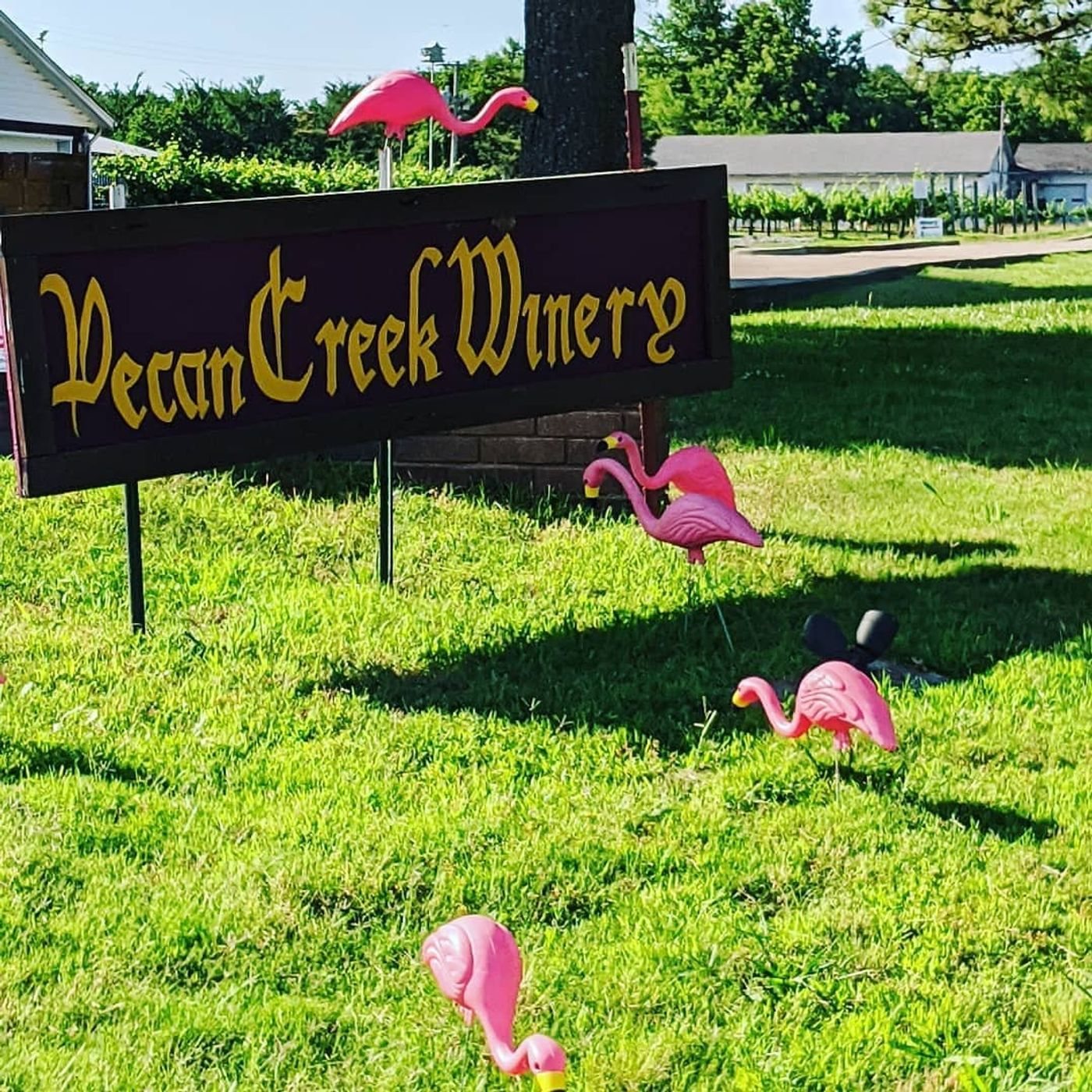 Pecan Creek Winery - Muskogee, OK Pt. 3