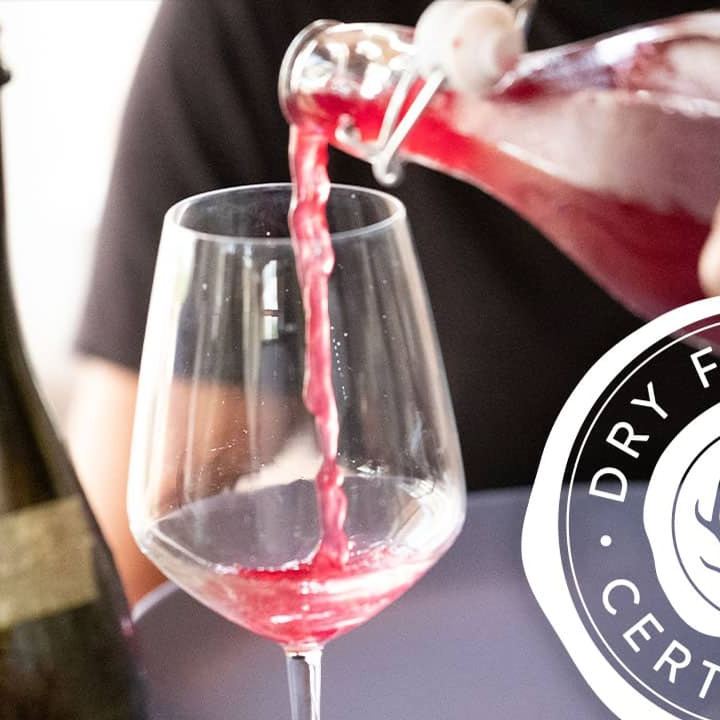 Dry Farm Wines Pt. 3