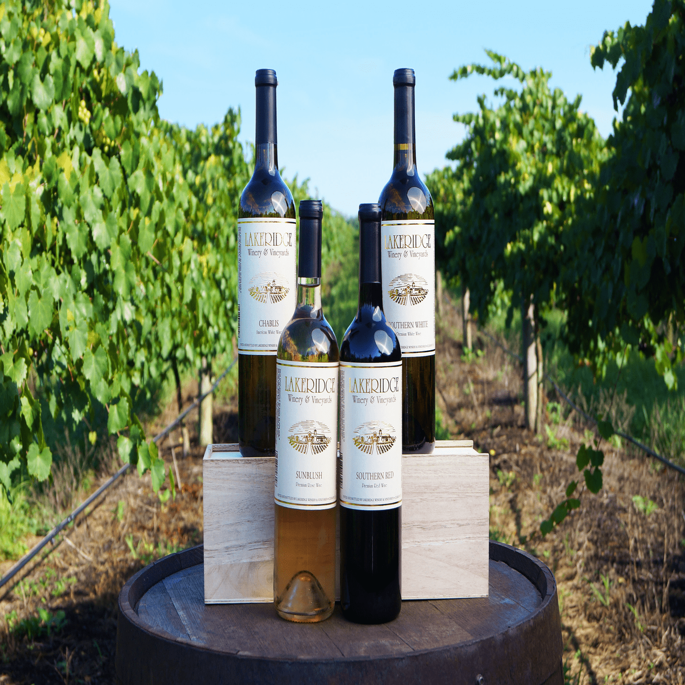 Lakeridge Winery & Vineyards - Clermont, FL Pt. 3