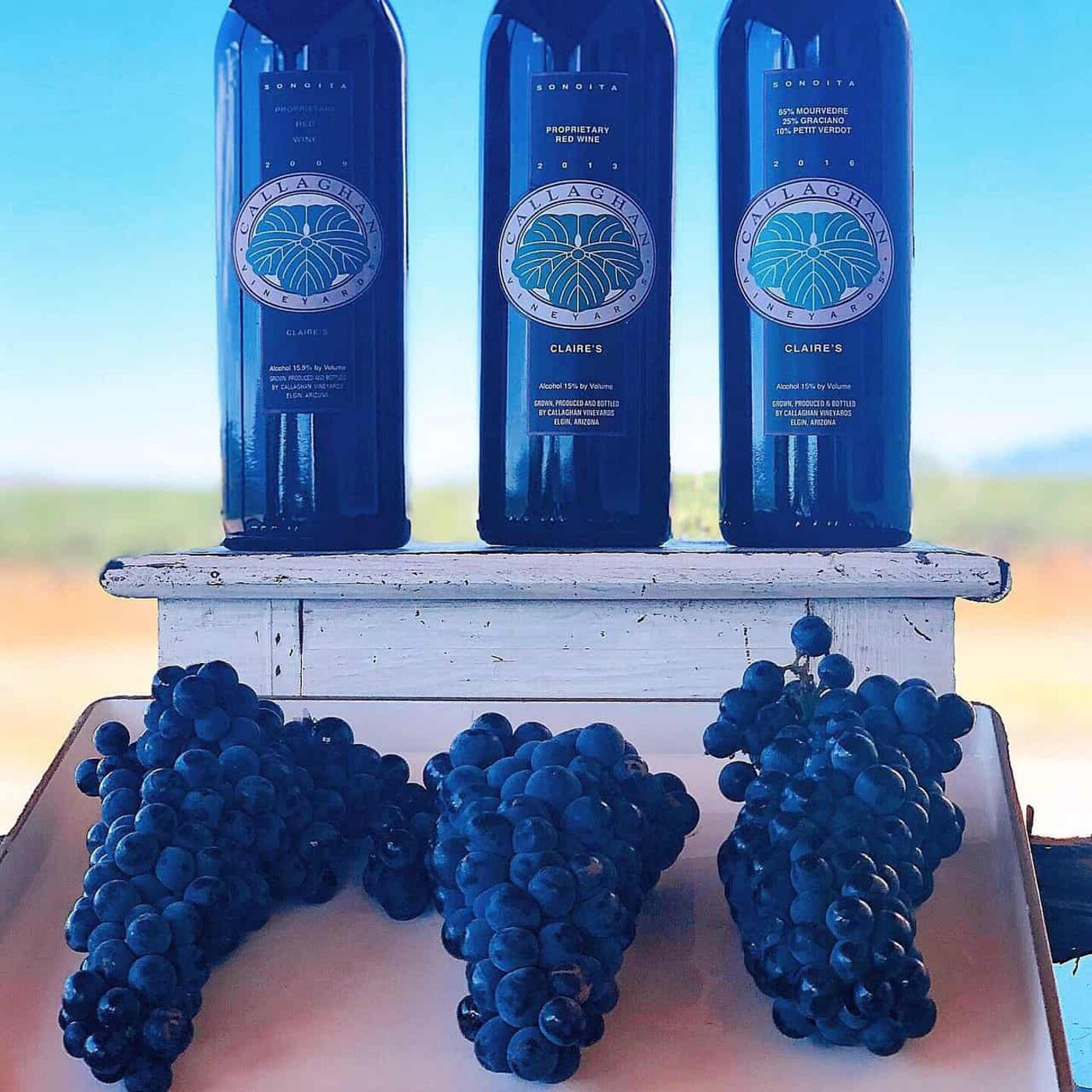 Callaghan Vineyards- Elgin, AZ Pt. 2