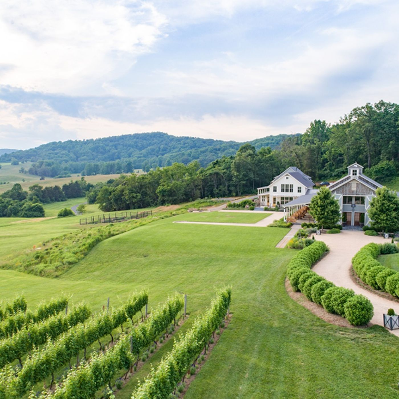 Pippin Hill Farm & Vineyards - North Garden, VA Pt. 1