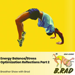 Energy Balance/Stress Optimization Reflections, Part 2: Correcting Misconceptions About Calorie Balance, Fat Loss, And Longevity (Breather Episode with Brad)