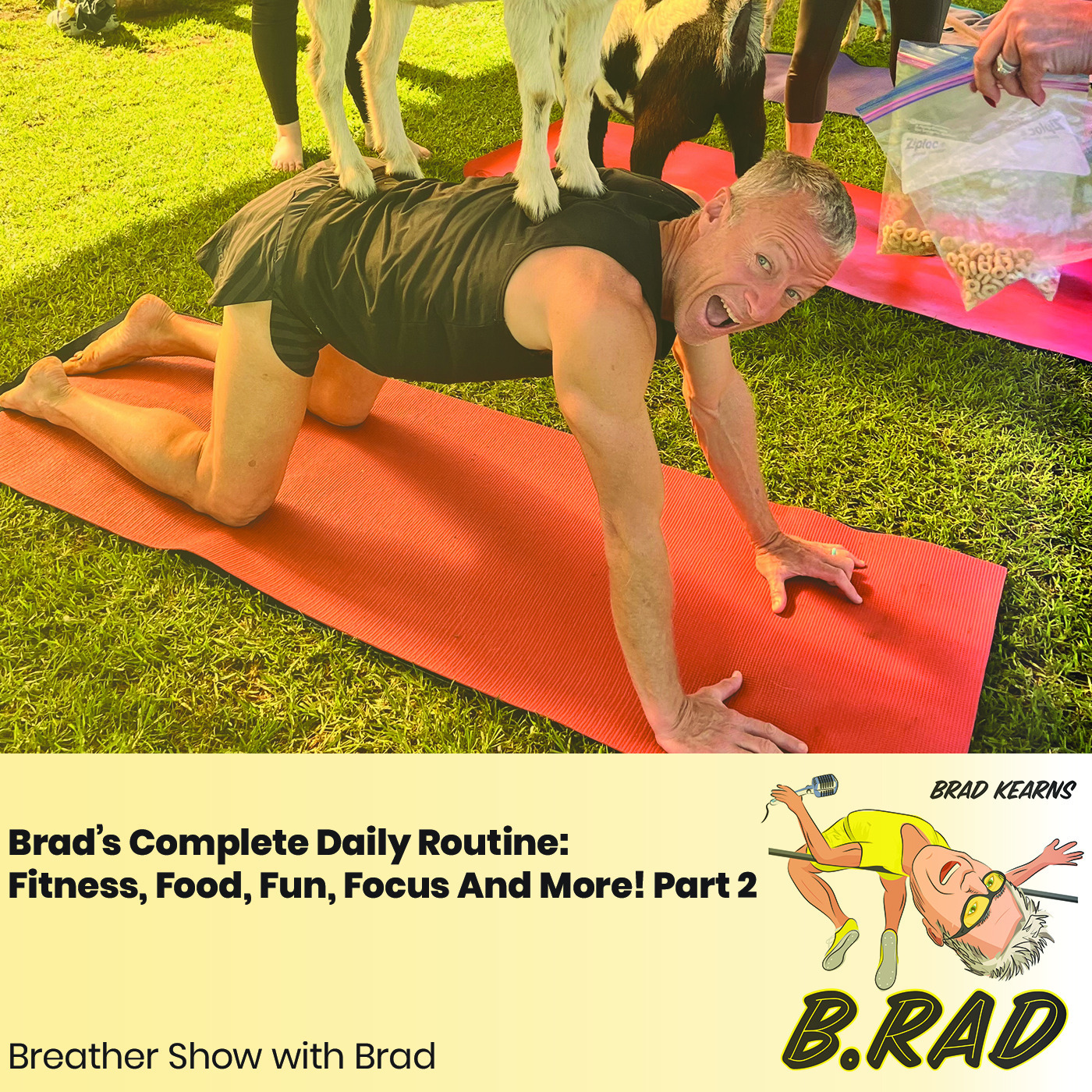 Brad’s Daily Routine: Fitness, Food, Fun, Focus And More! Part 2 (Breather Episode with Brad)