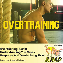 Overtraining, Part 1: Understanding The Stress Response And Overtraining Risks (Breather Episode with Brad)