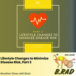 Lifestyle Changes to Minimize Disease Risk, Part 3 (Breather Episode with Brad)