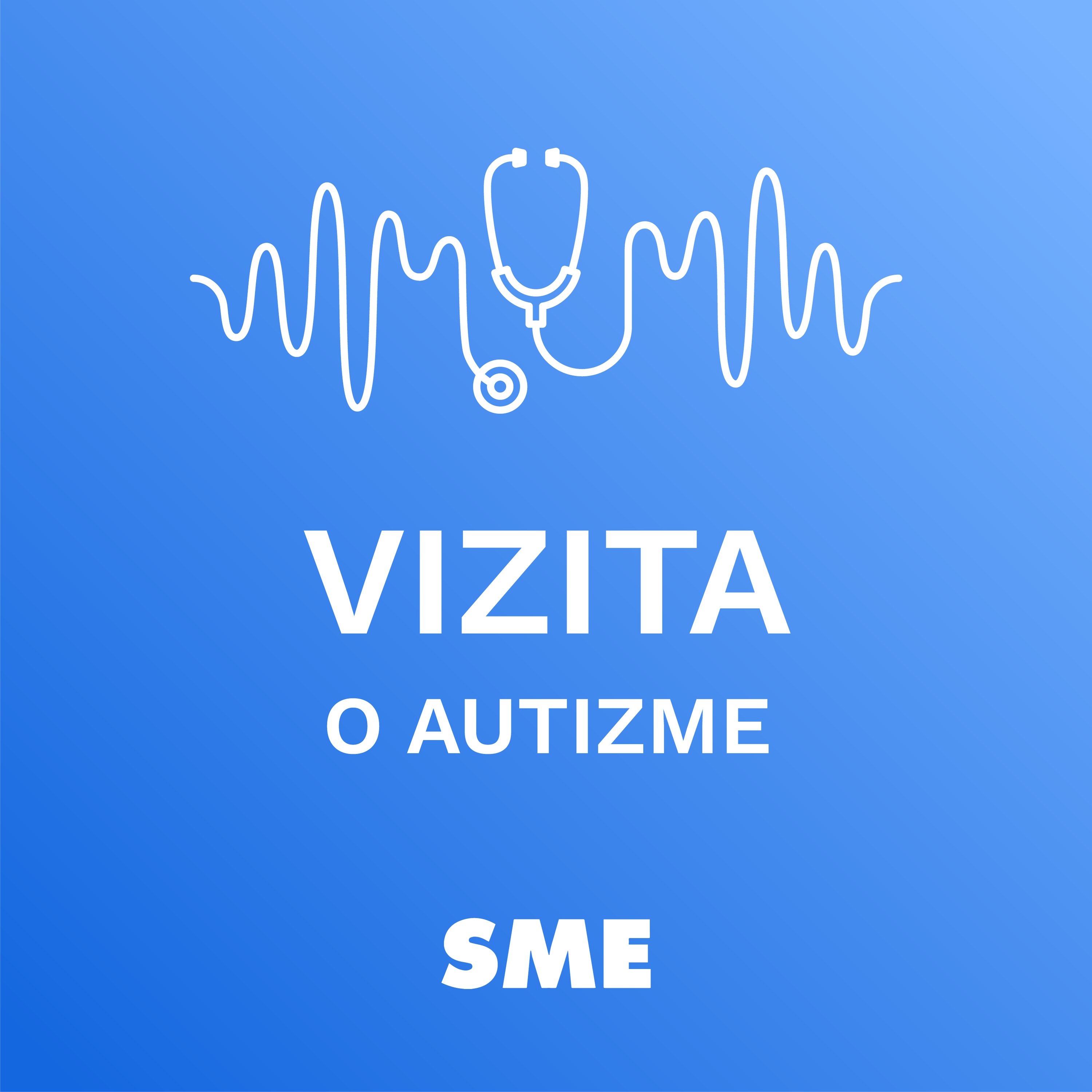 Vizita