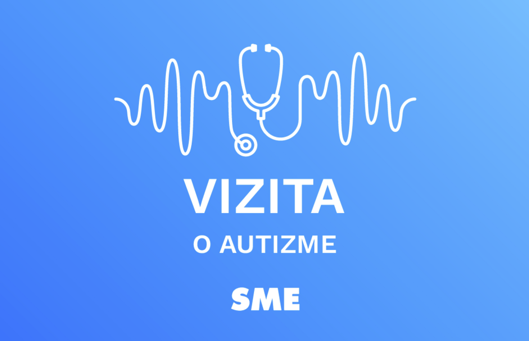 Vizita
