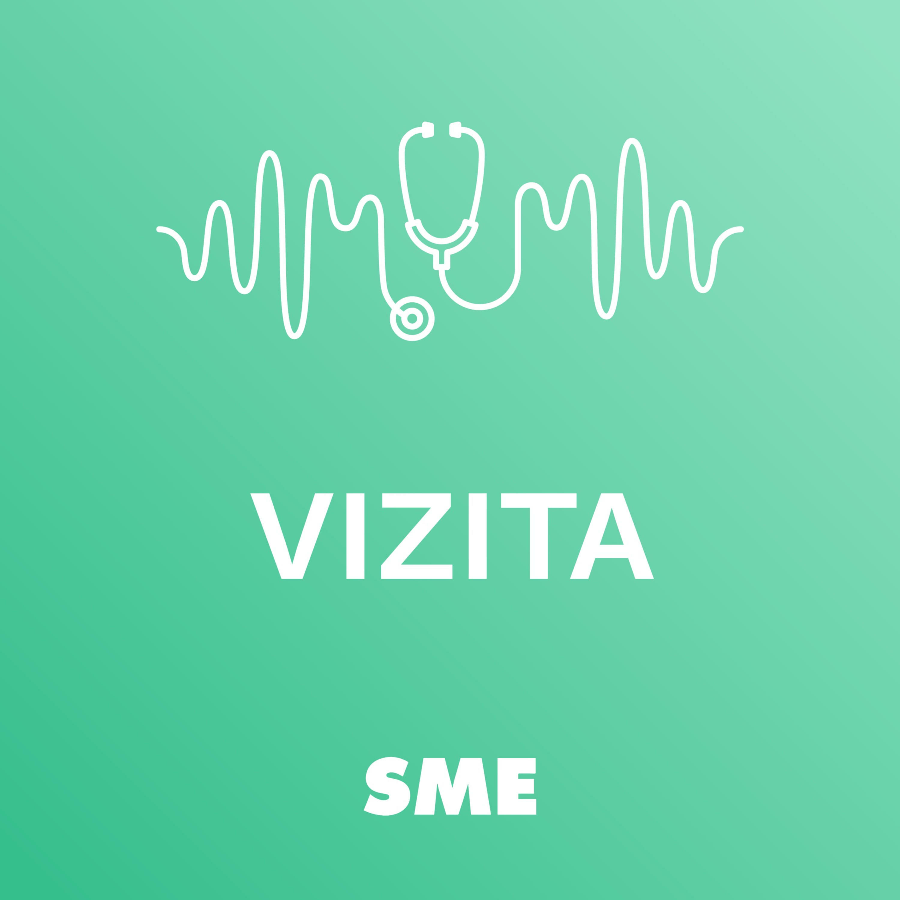 Vizita