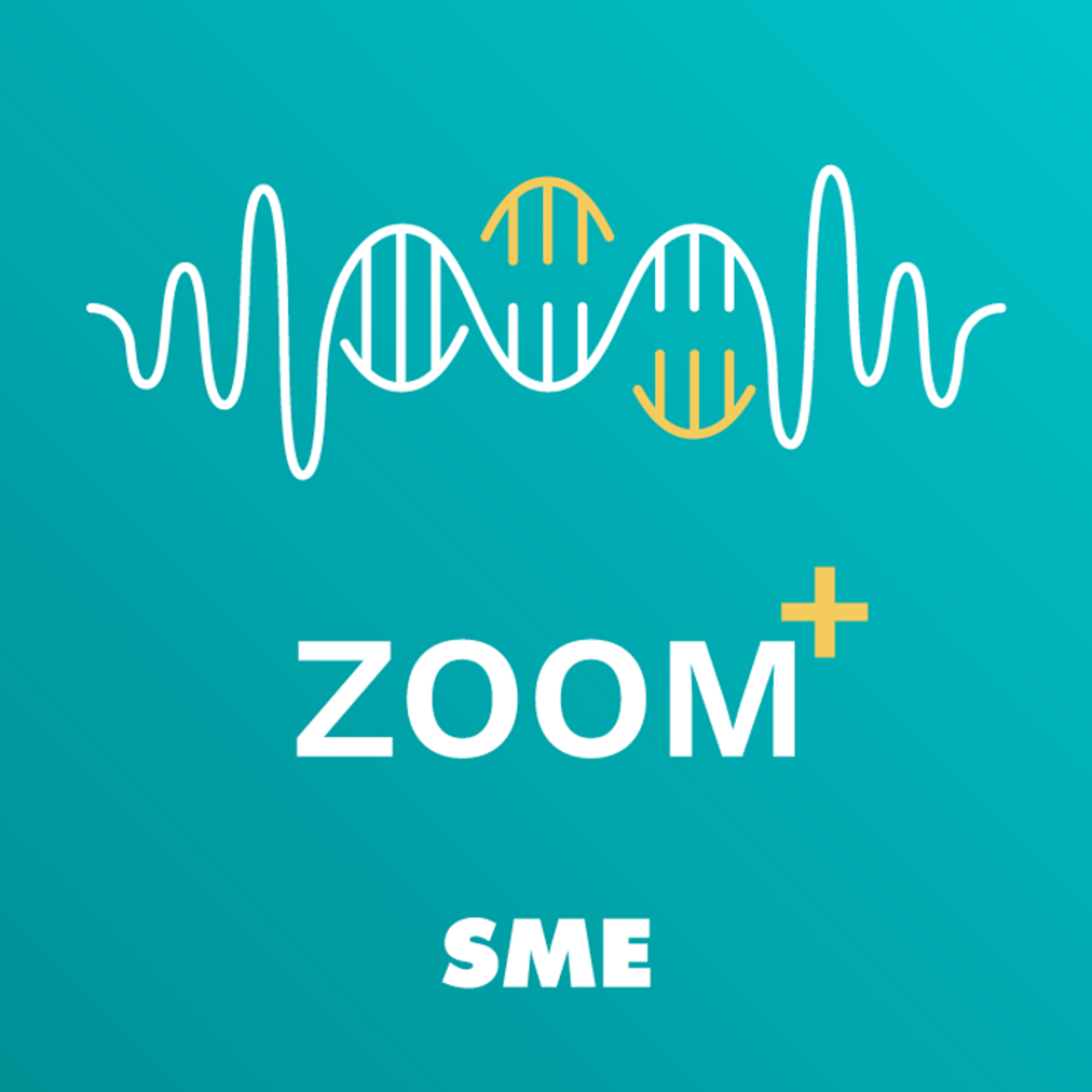 Zoom