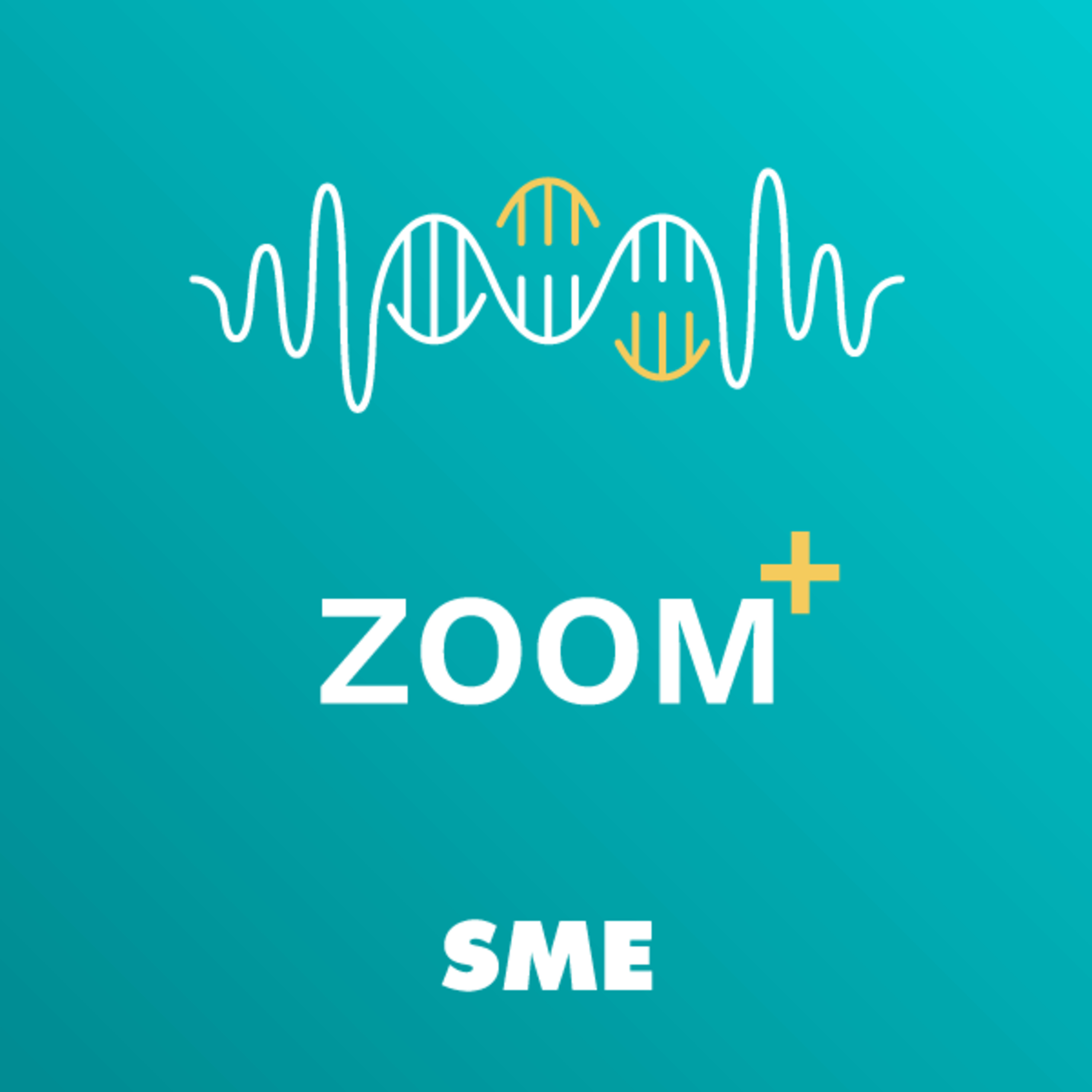 Zoom