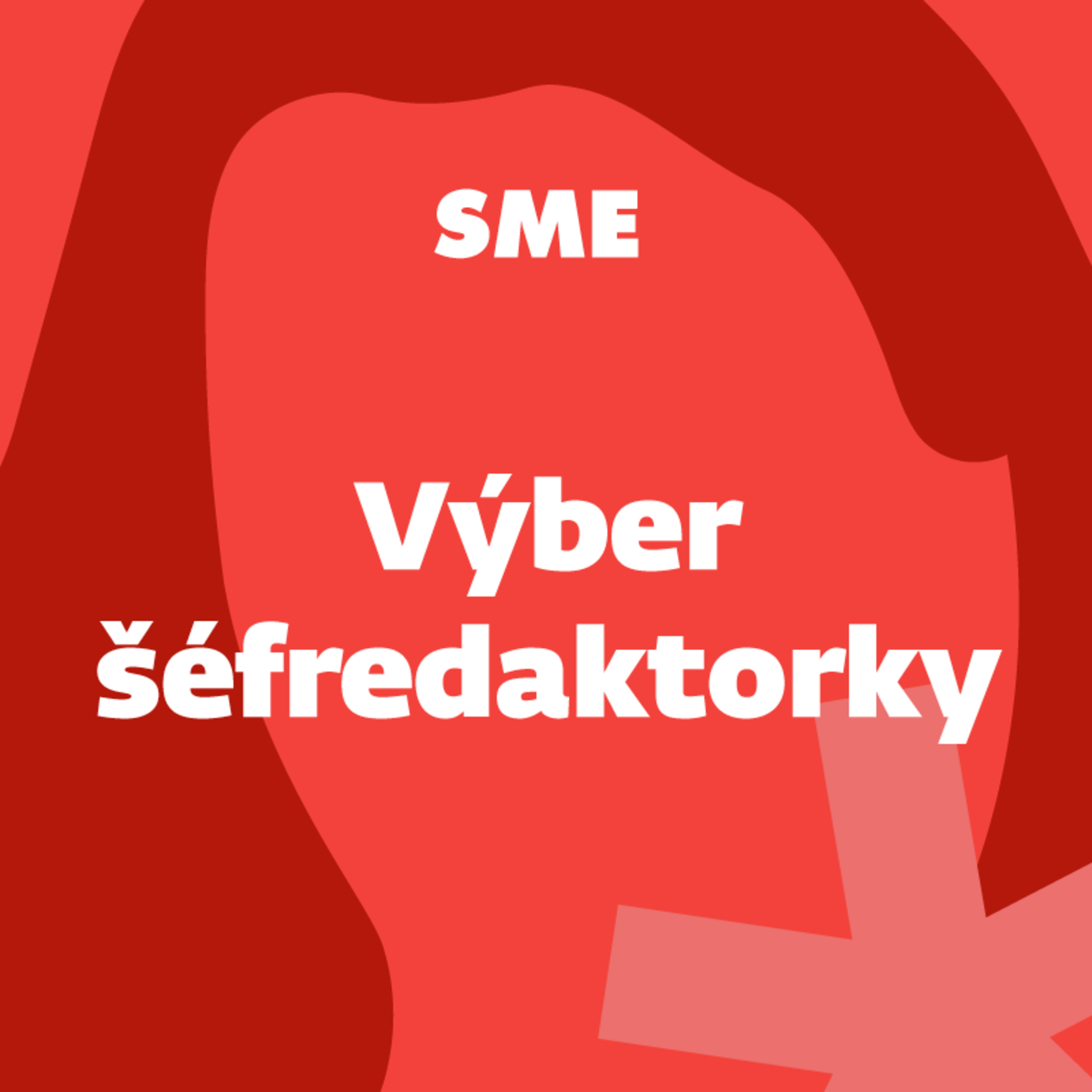 Výber šéfredaktorky: Fico u Orbána a Danko pred semaforom