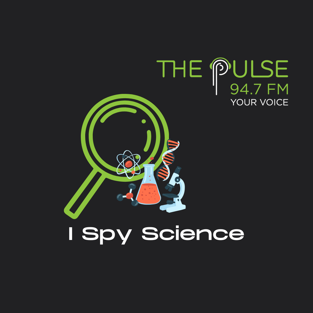 I Spy Science 21-August-2026
