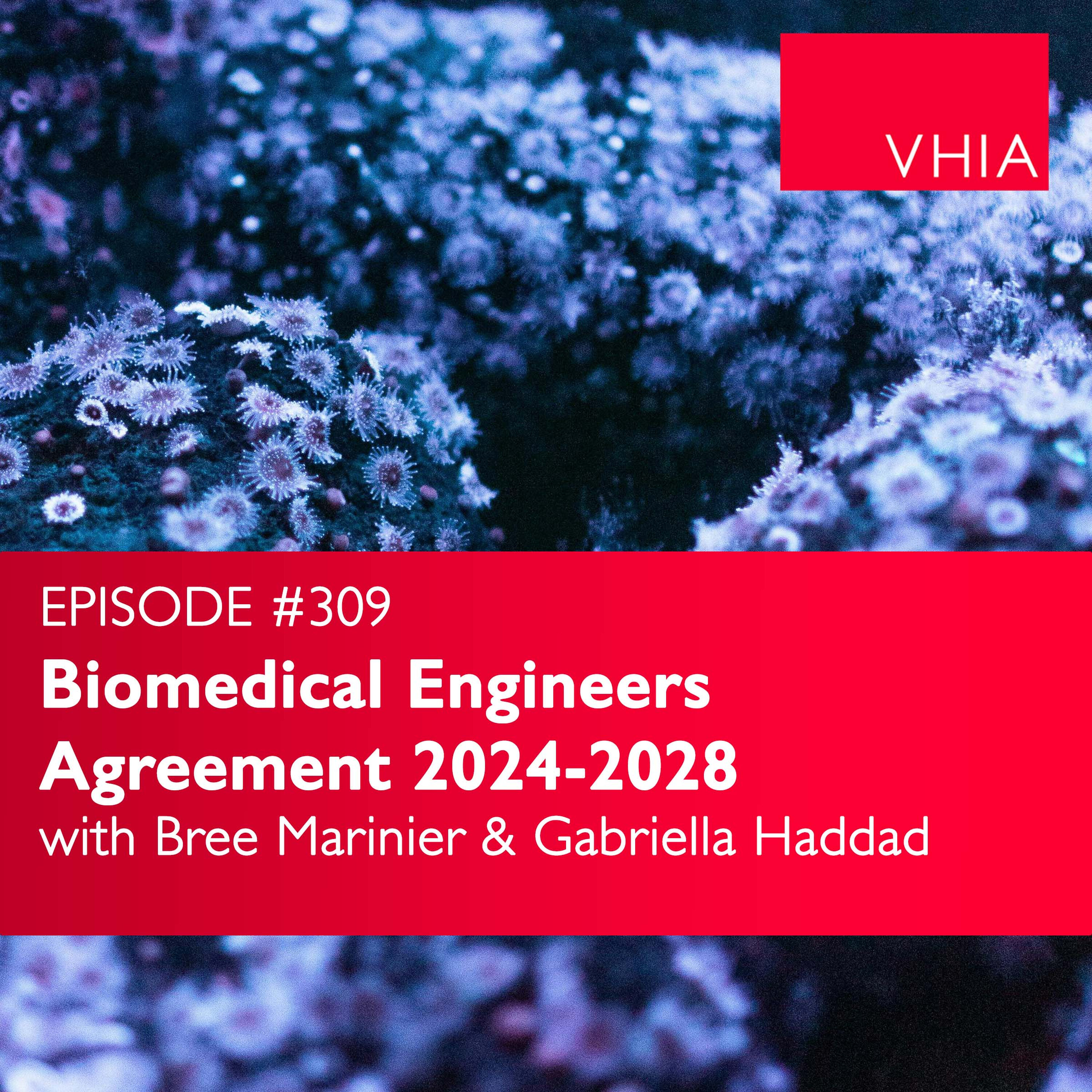 Biomedical Engineers Agreement 2024-2028 Implementation Forum episode artwork