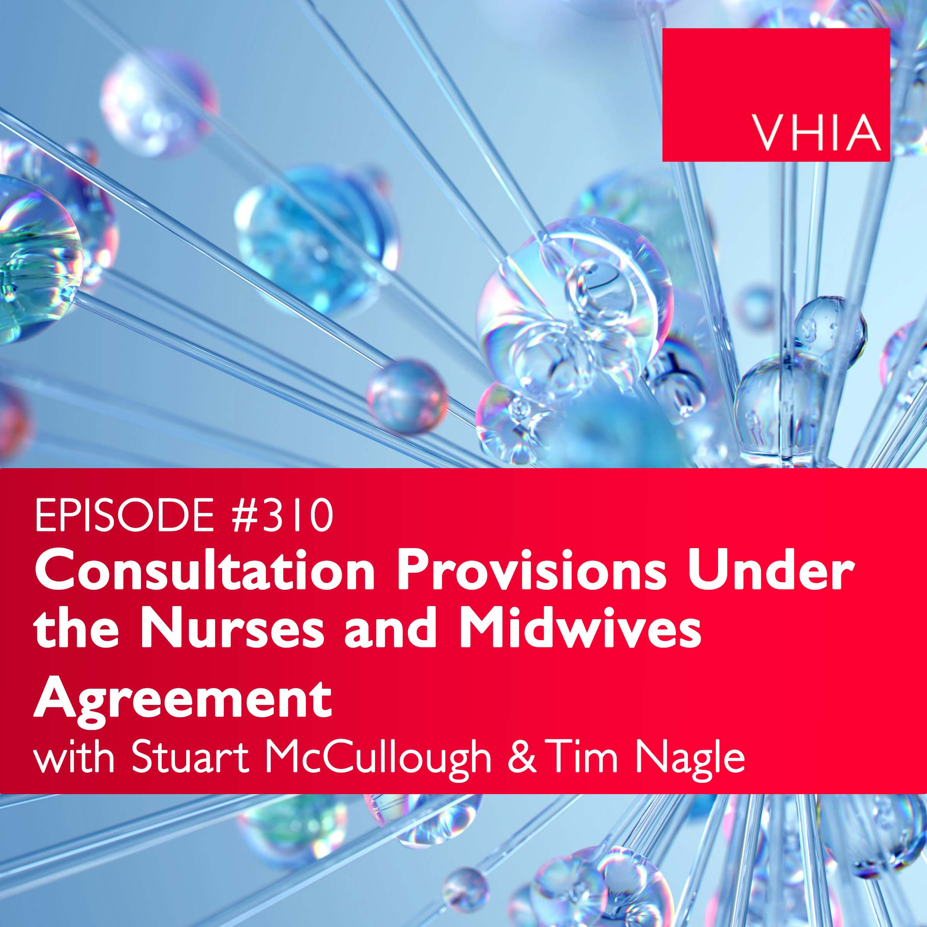 Consultation Provisions Under the Nurses and Midwives Agreement episode artwork