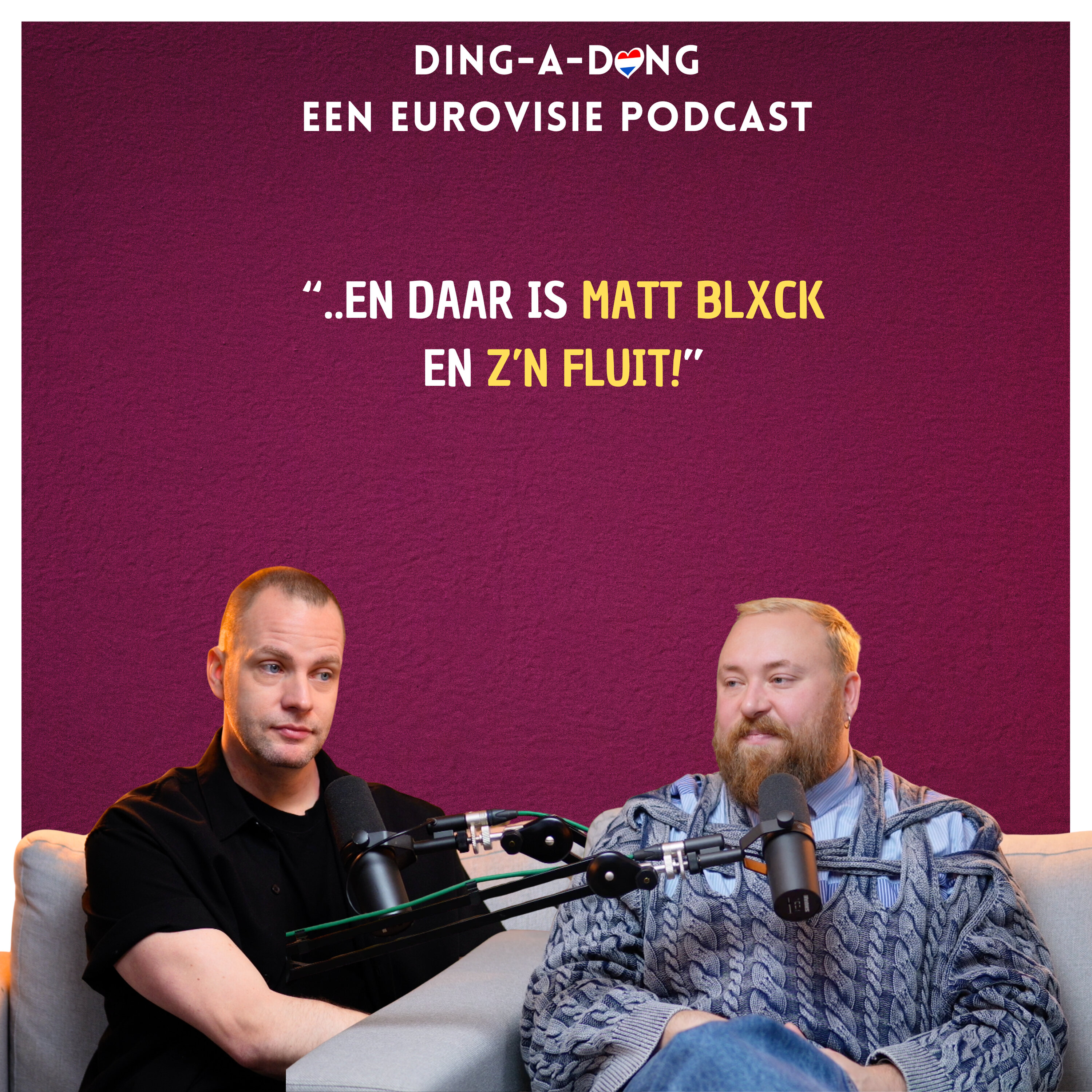 Ding-a-Dong - dé Eurovisie Songfestival podcast