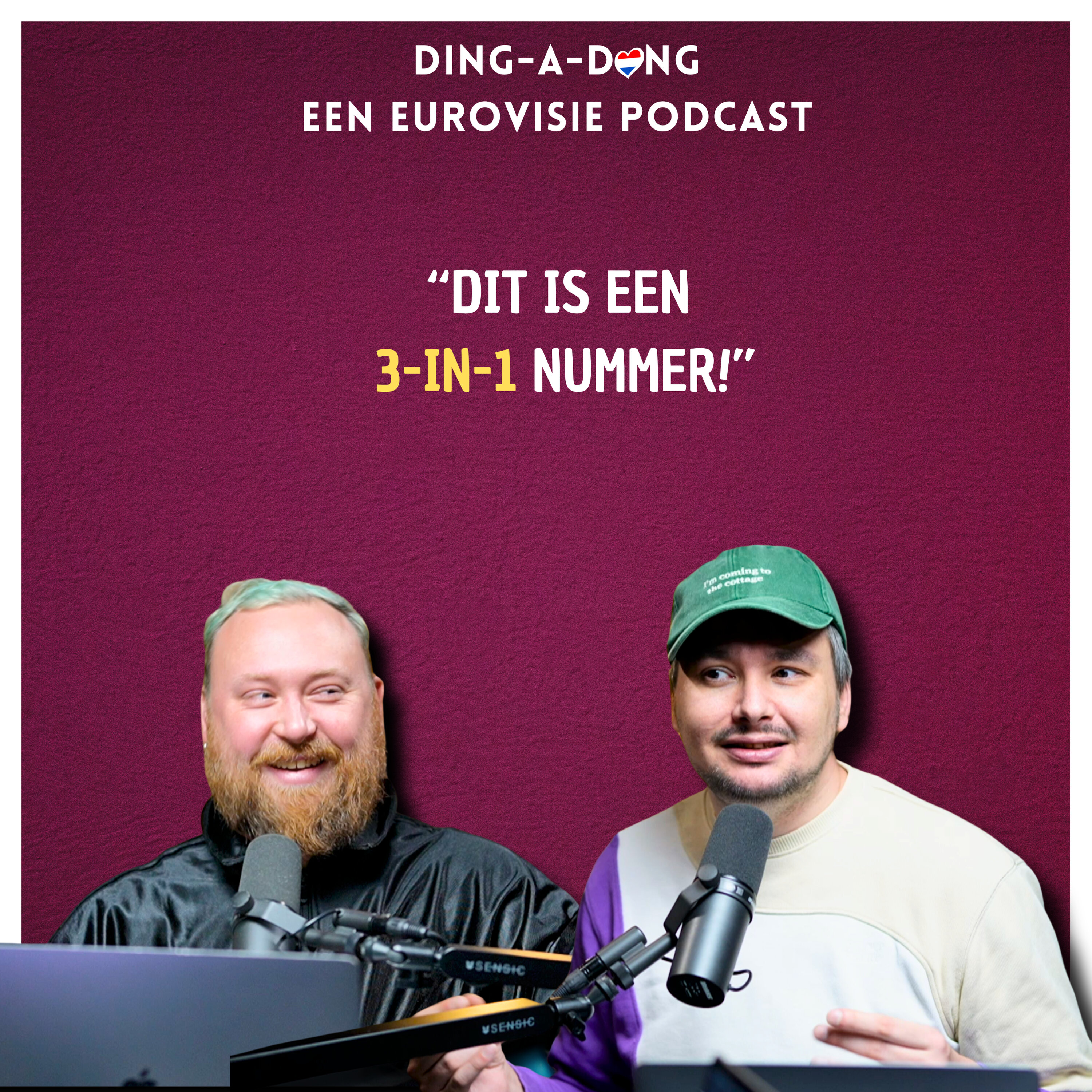 Op zoek naar de nieuwe Songfestivalwinnaar (of niet) - S8E27 episode artwork