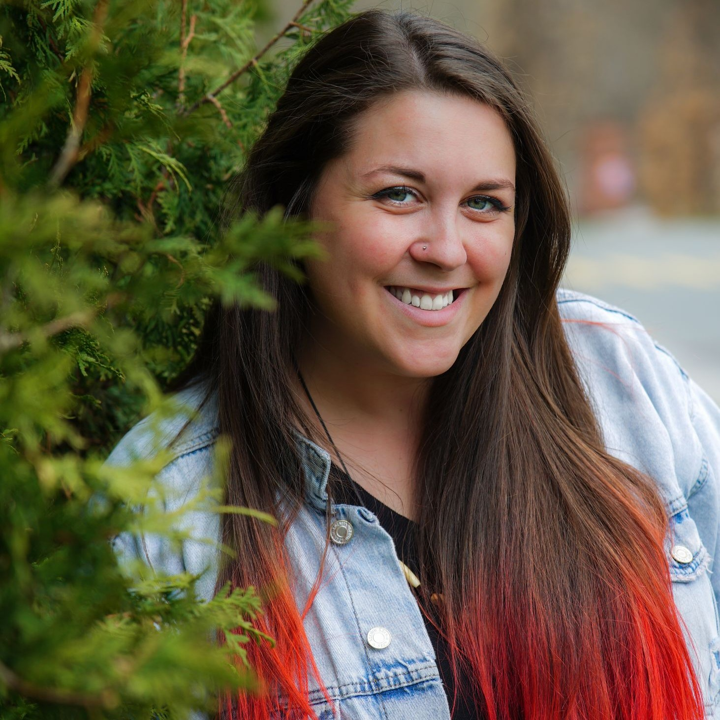 Entrevue - Sandrine Masse - Album L'ours noir