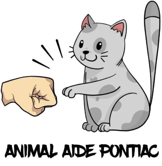 Entrevue - Hélène Painchaud - Animal Aide Pontiac