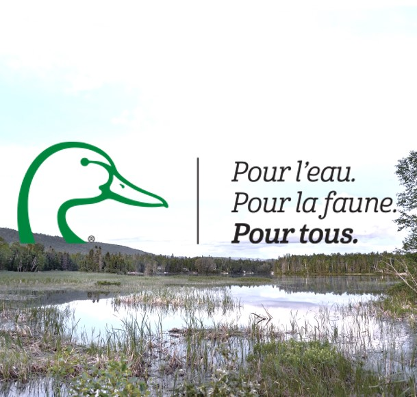 Entrevue - Jacob Demers - Protection des terrains dans le Pontiac