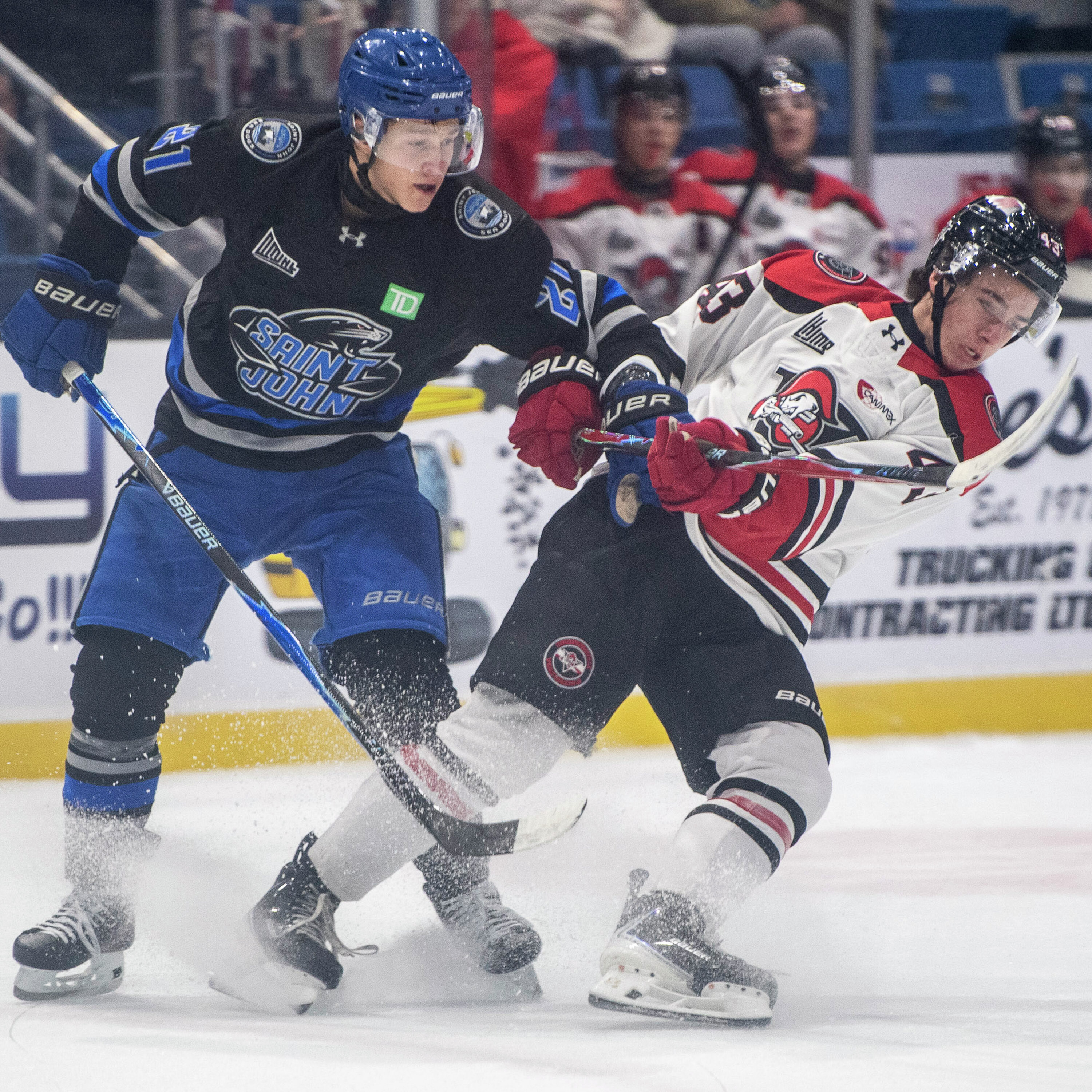 Les Voltigeurs en reprise | 12 octobre 2026 @ Saint-John, NB